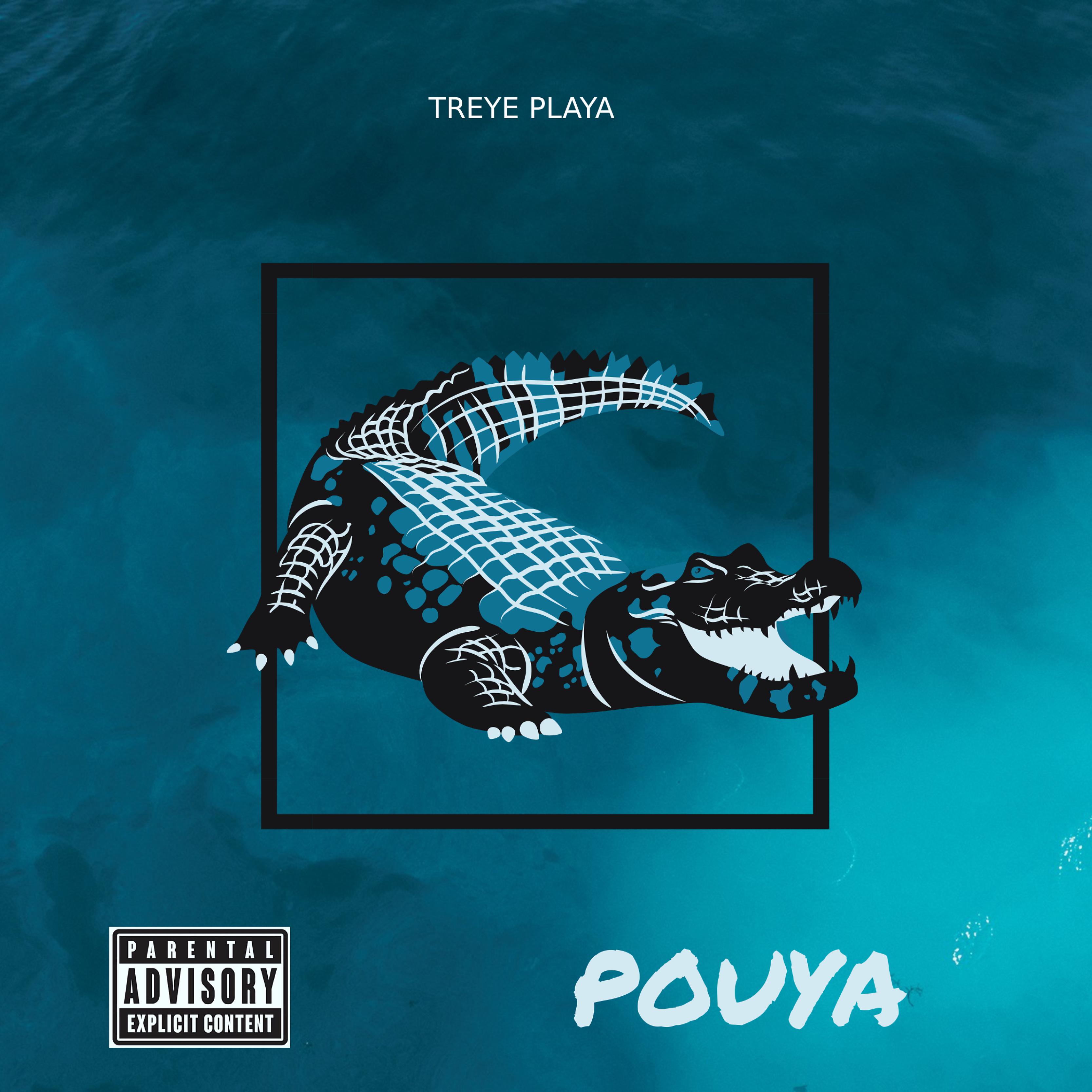 Постер альбома Pouya