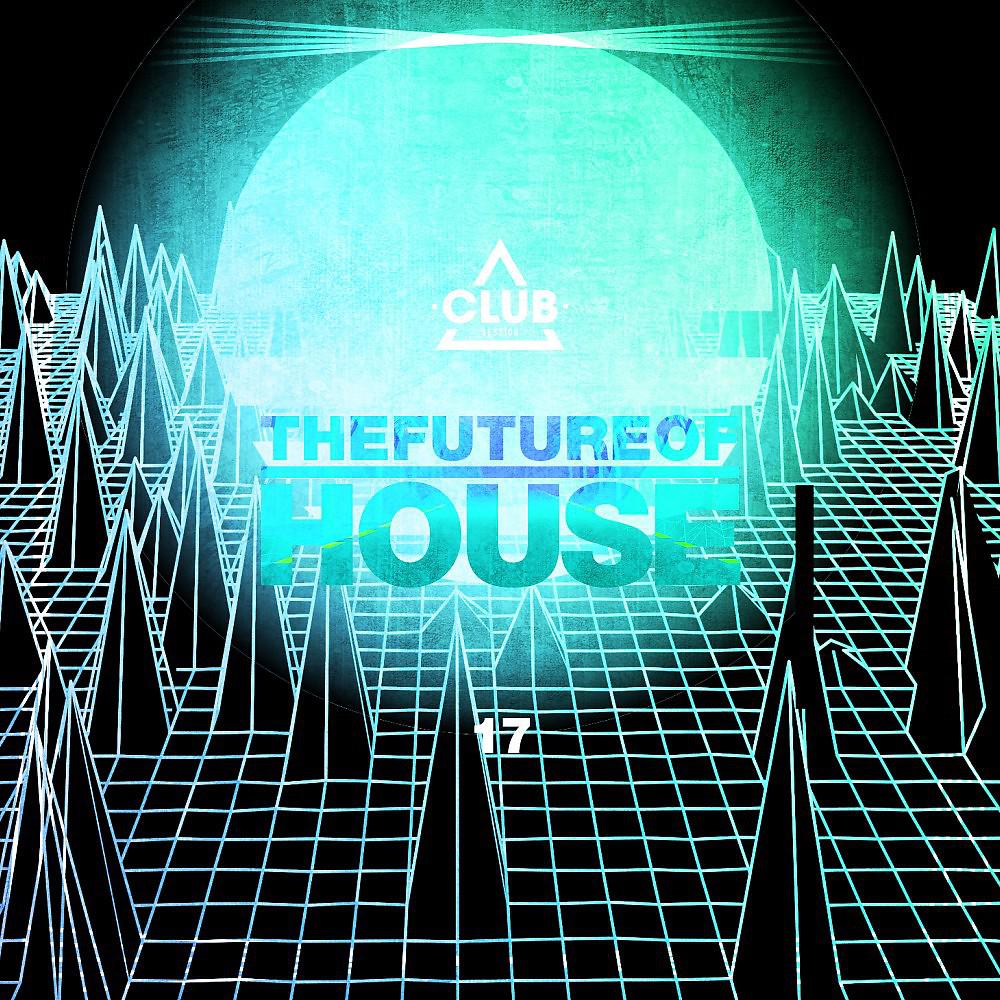 Постер альбома The Future of House, Vol. 17