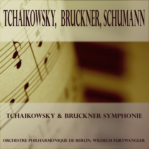 Постер альбома Tchaikowsky, Bruckner & Schumann: Symphonie