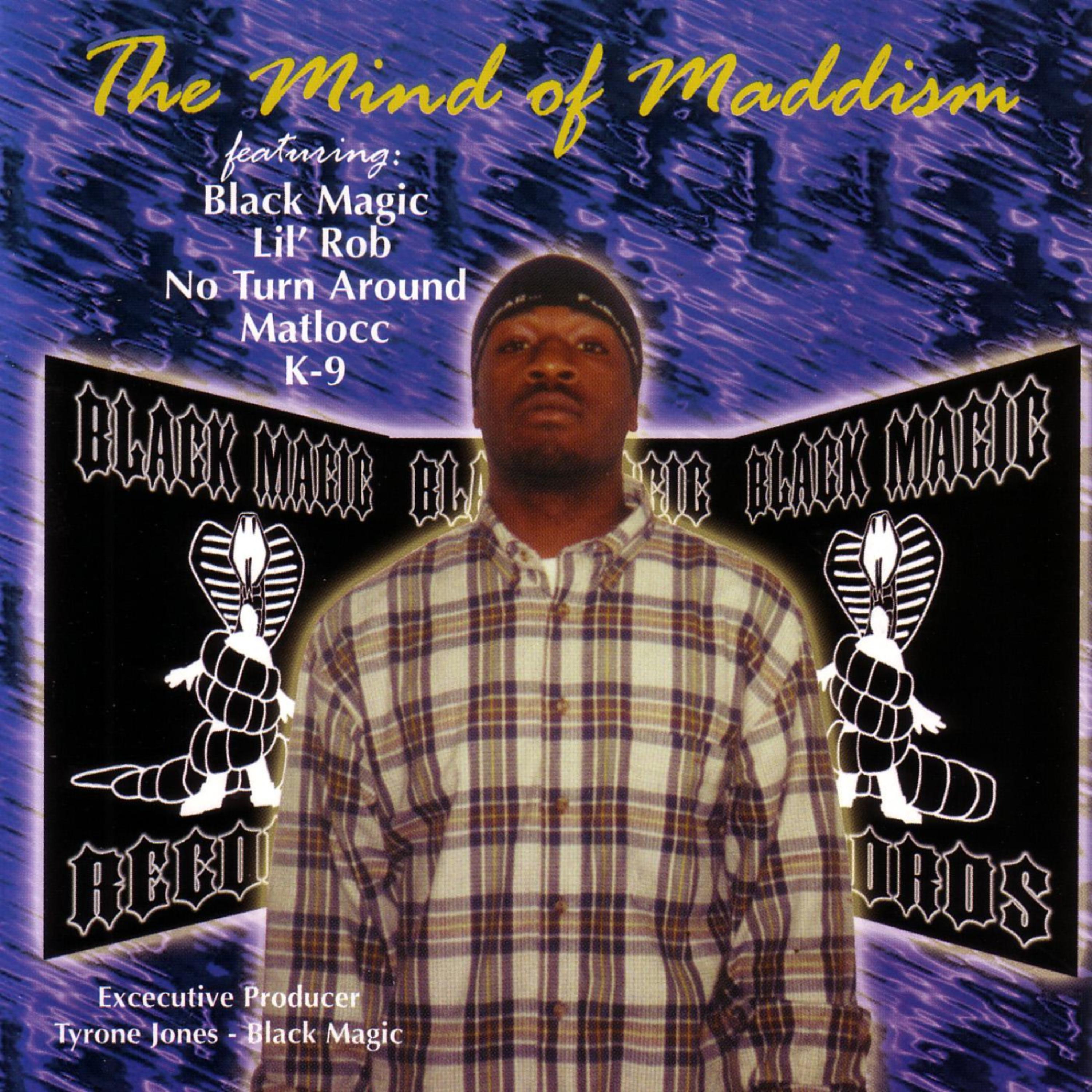 Постер альбома The Mind of Maddison