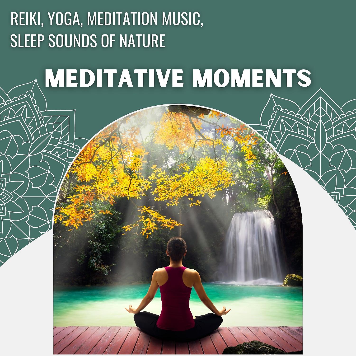 Постер альбома Meditative Moments