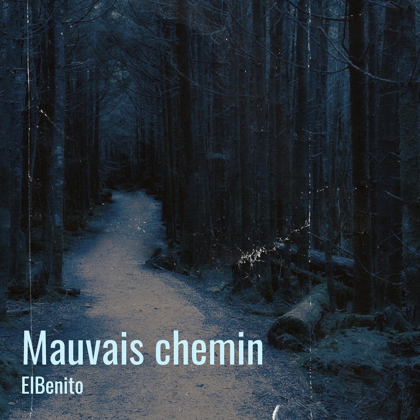 Постер альбома Mauvais chemin