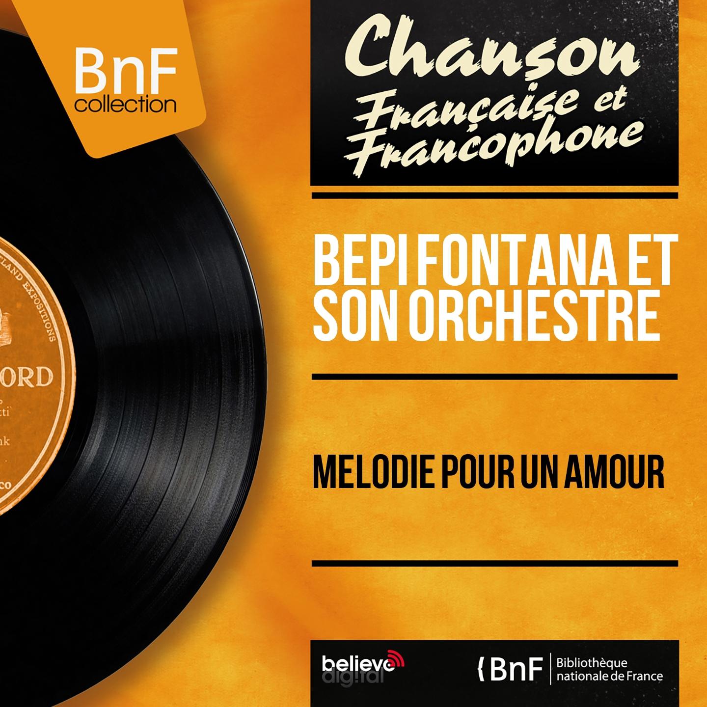 Постер альбома Mélodie pour un amour (Mono Version)