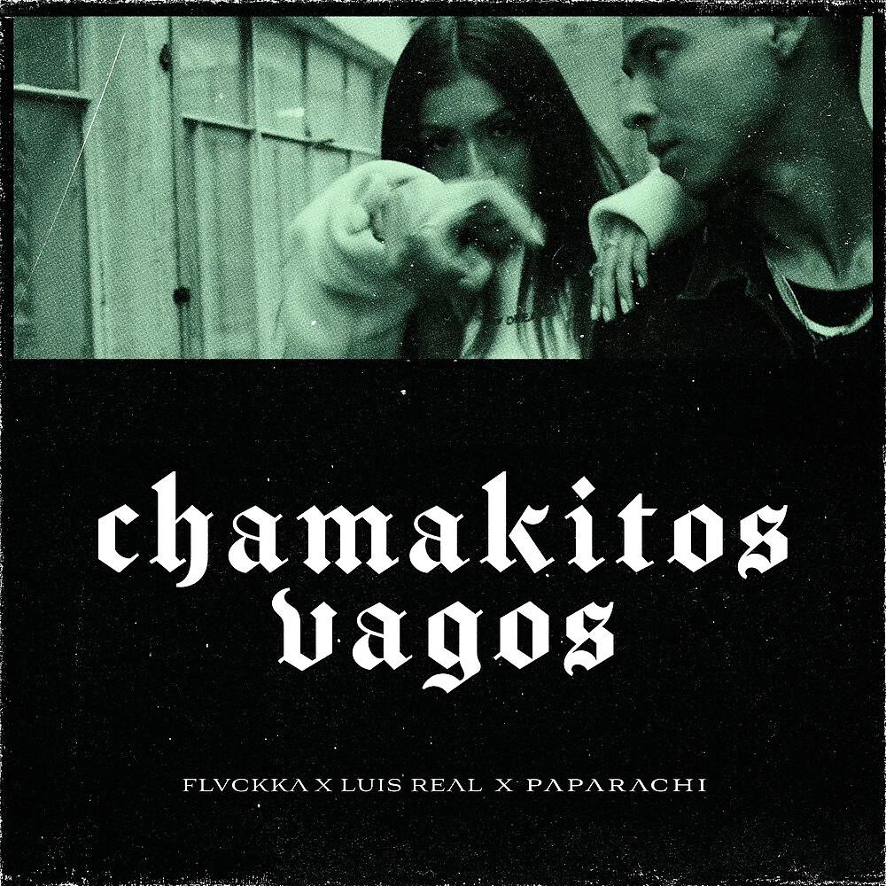 Постер альбома Chamakitos Vagos