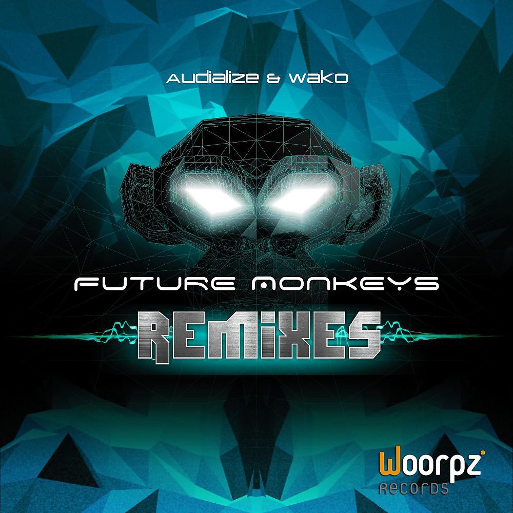 Постер альбома Future Monkeys Remixes