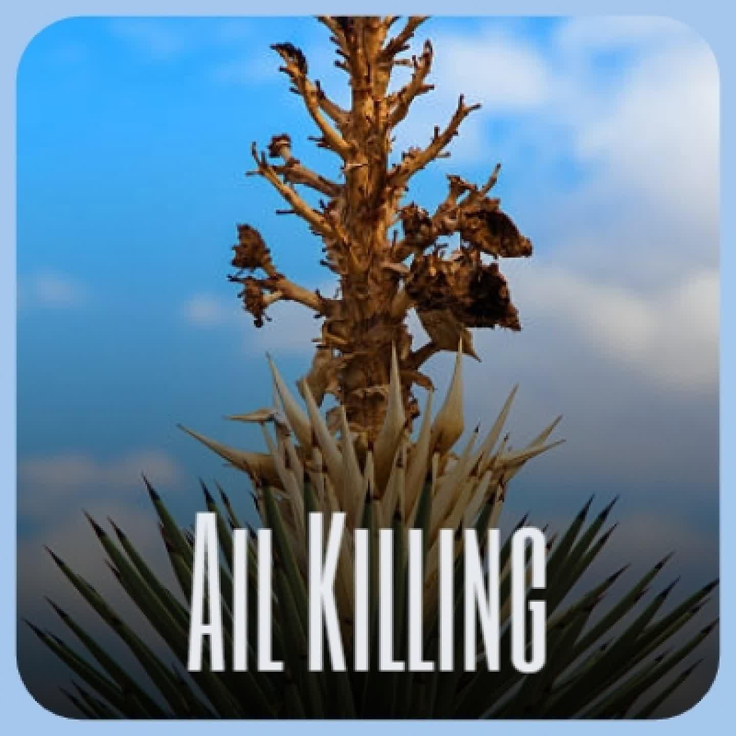 Постер альбома Ail Killing