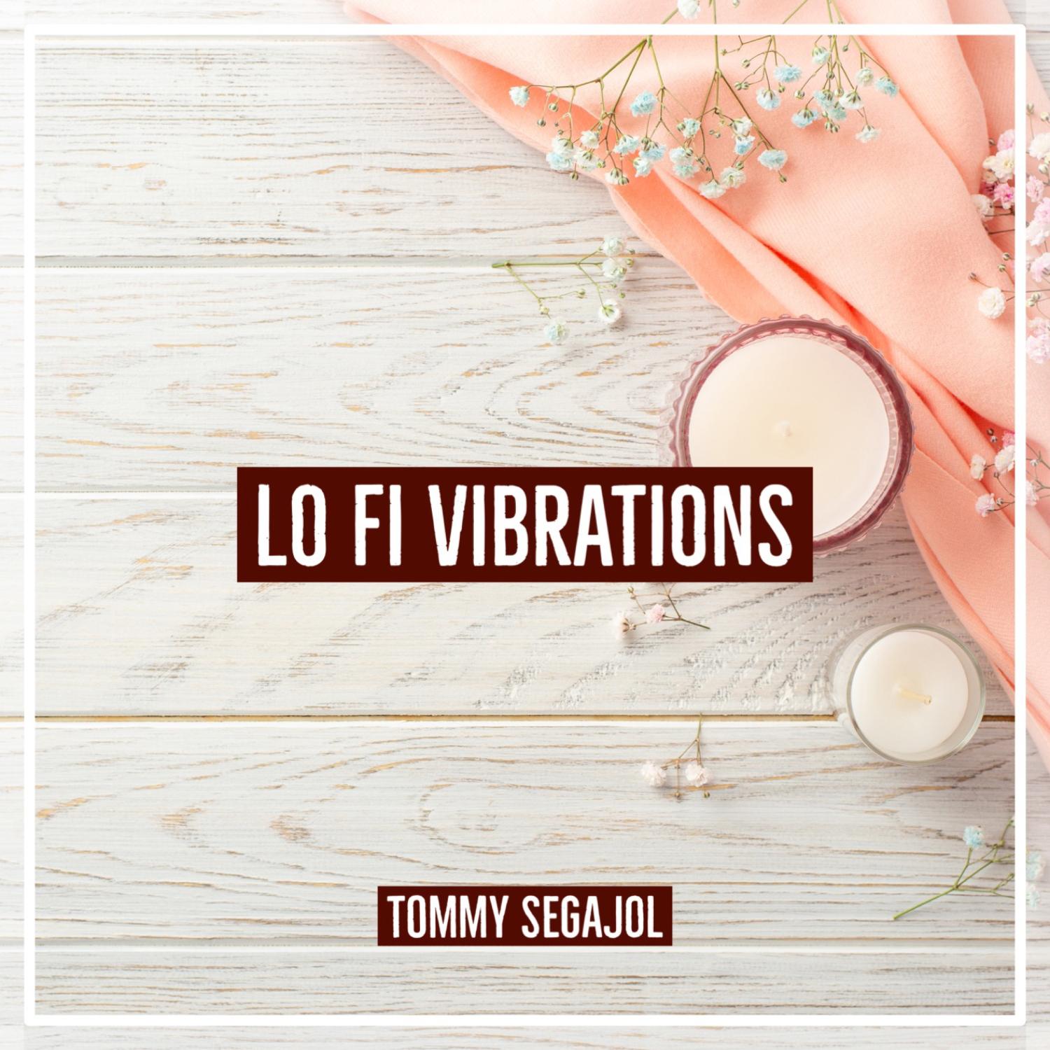 Постер альбома Lo Fi Vibrations