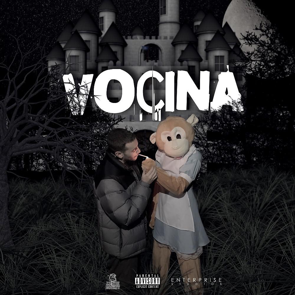Постер альбома Vocina