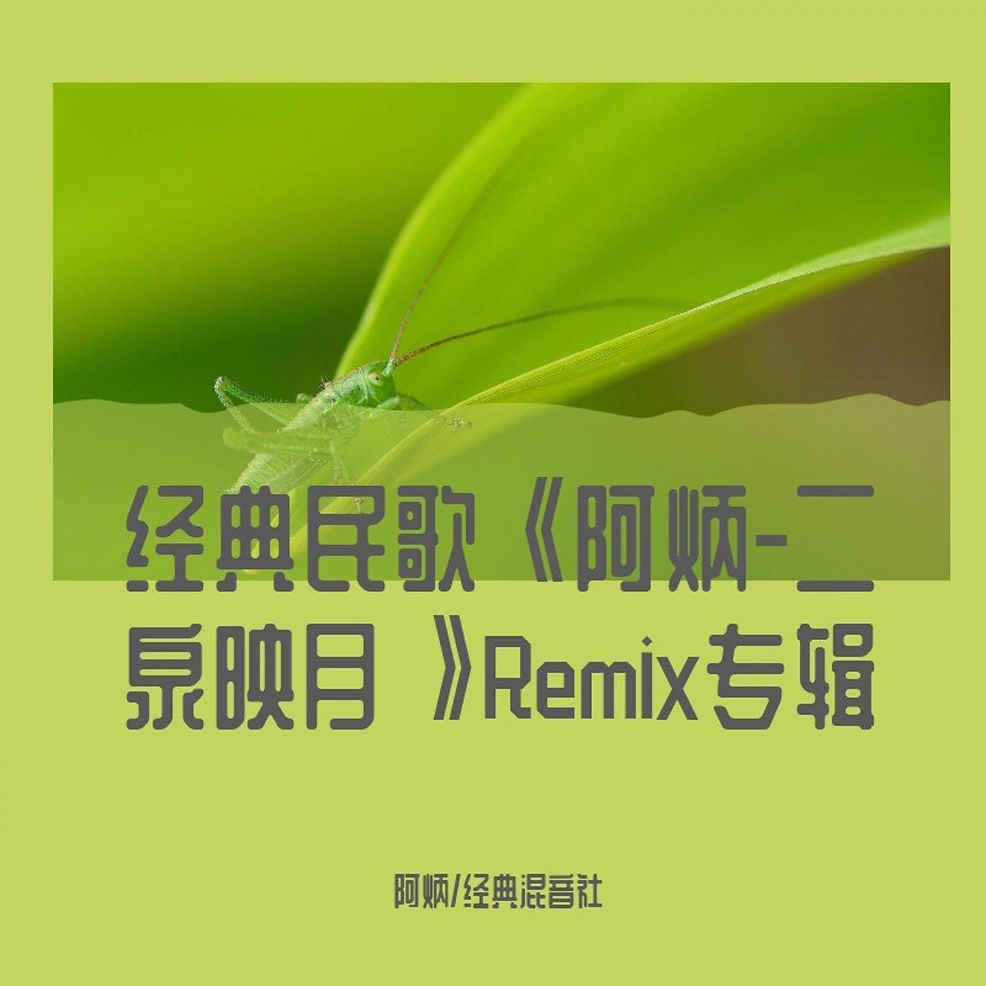 Постер альбома 经典民歌《阿炳-二泉映月》Remix专辑