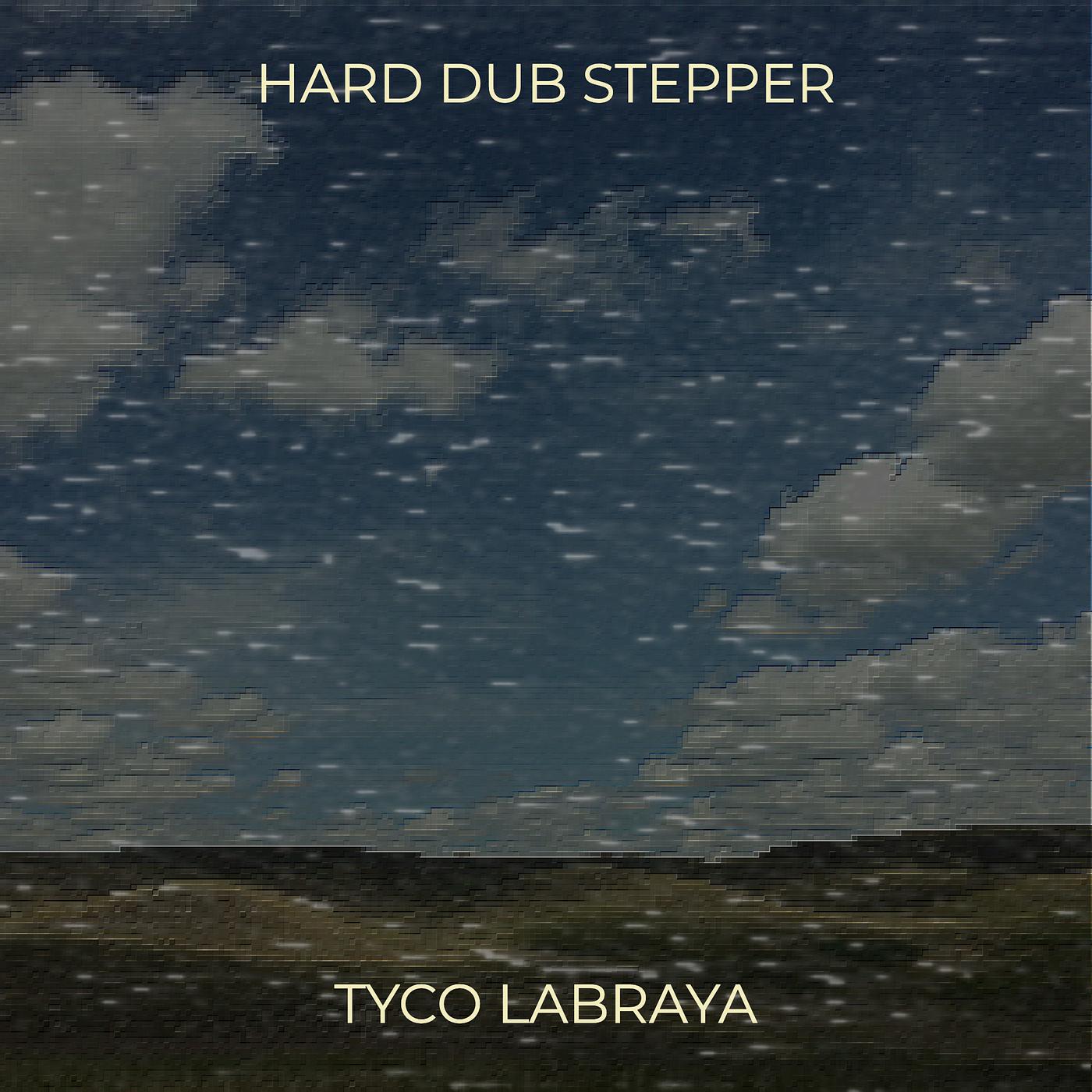 Постер альбома Hard Dub Stepper