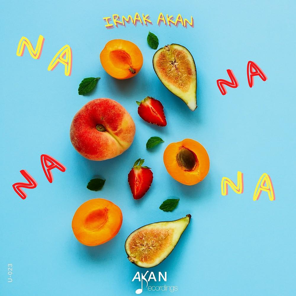 Постер альбома Nananana
