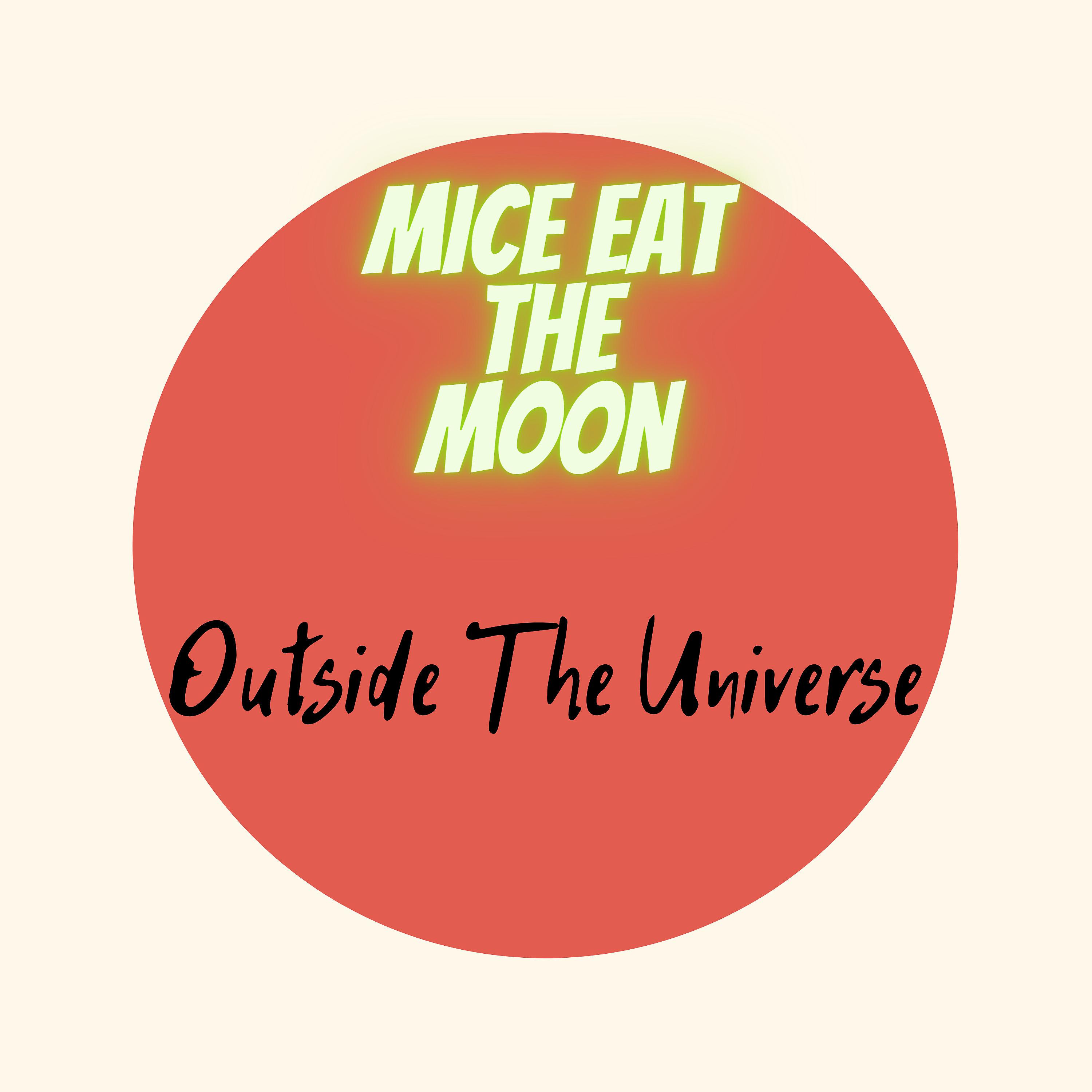 Постер альбома Outside The Universe