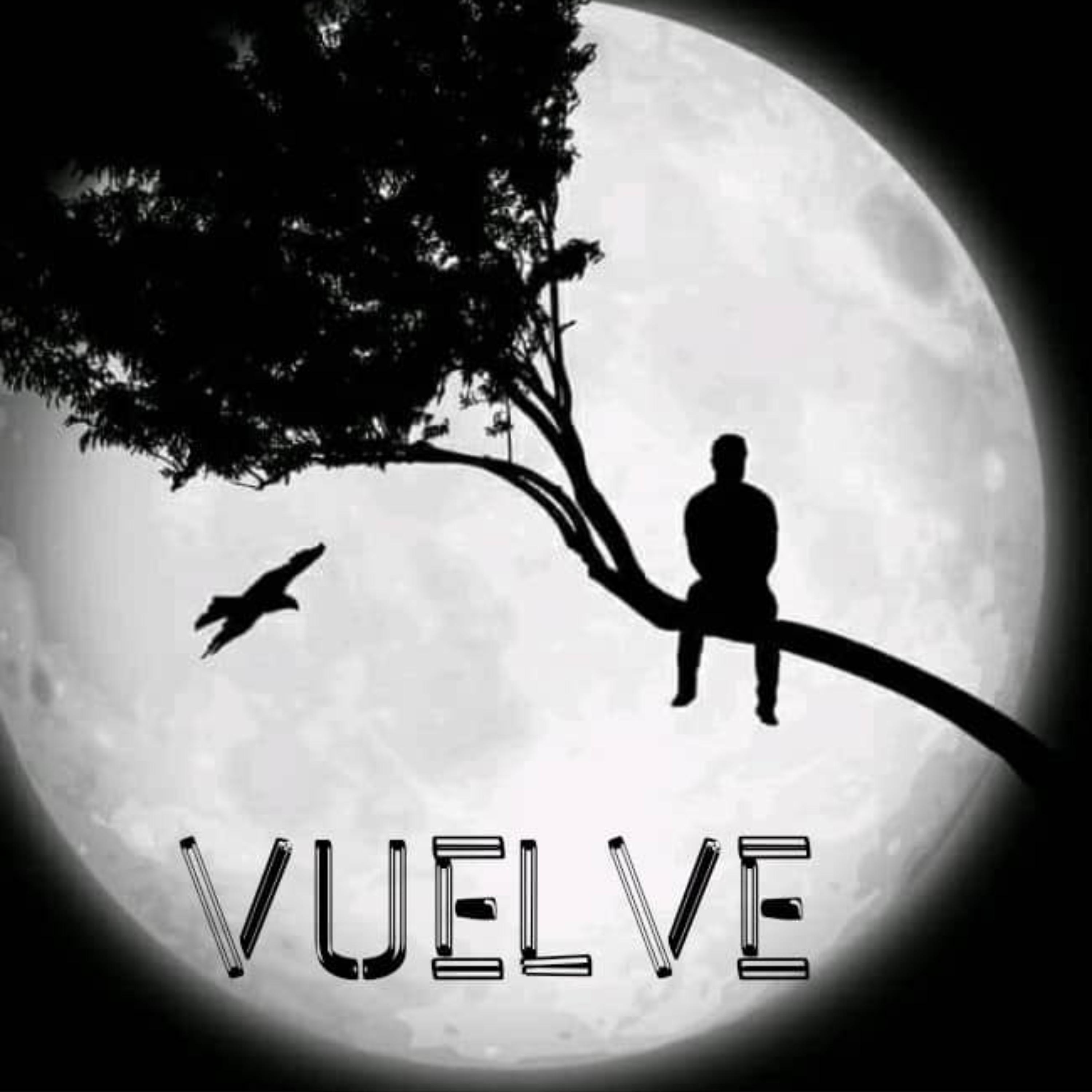 Постер альбома Vuelve