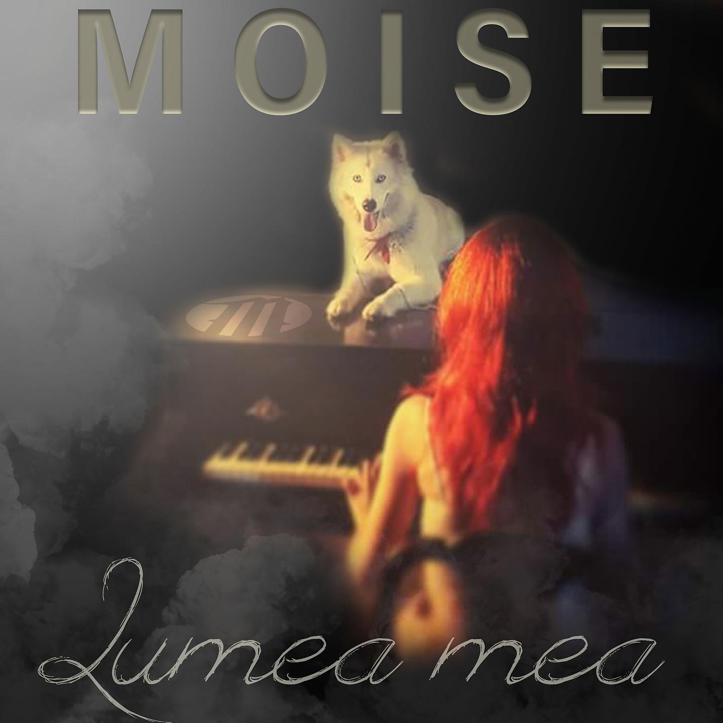 Постер альбома Lumea Mea