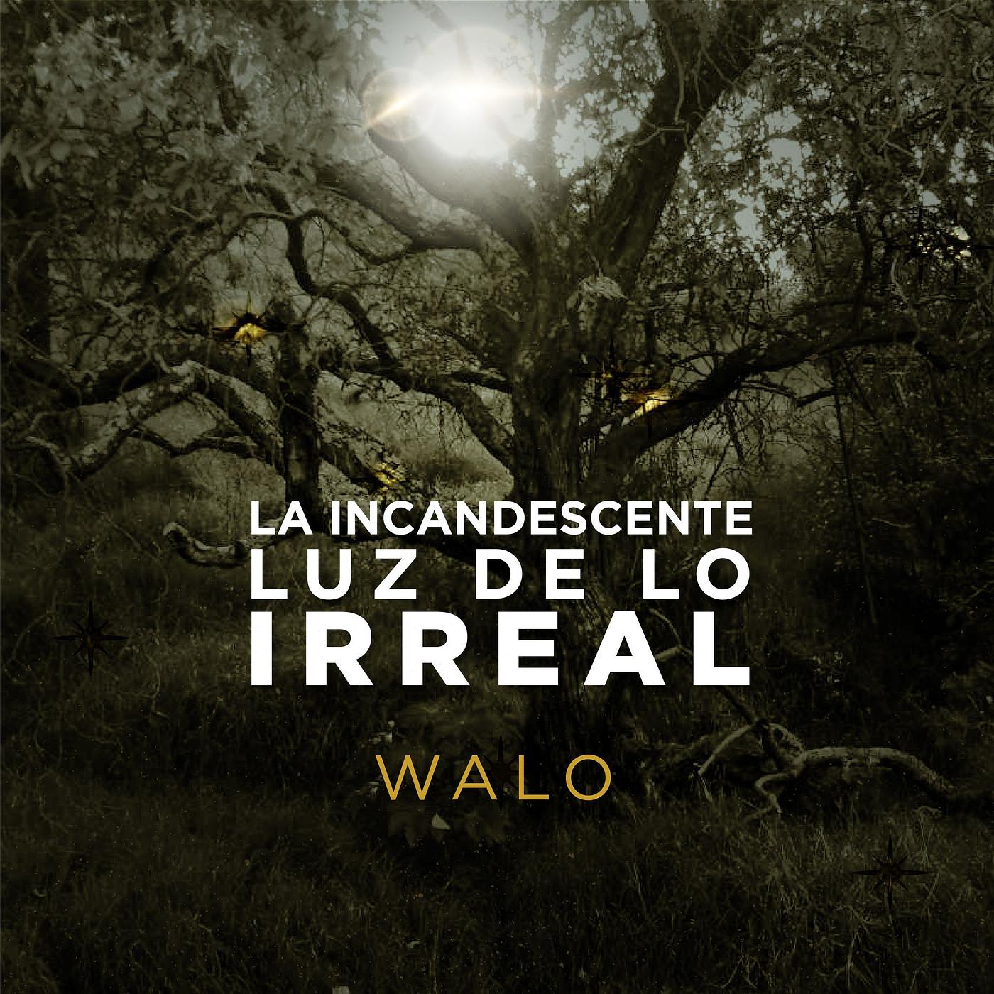 Постер альбома La Incandescente Luz De Lo Irreal