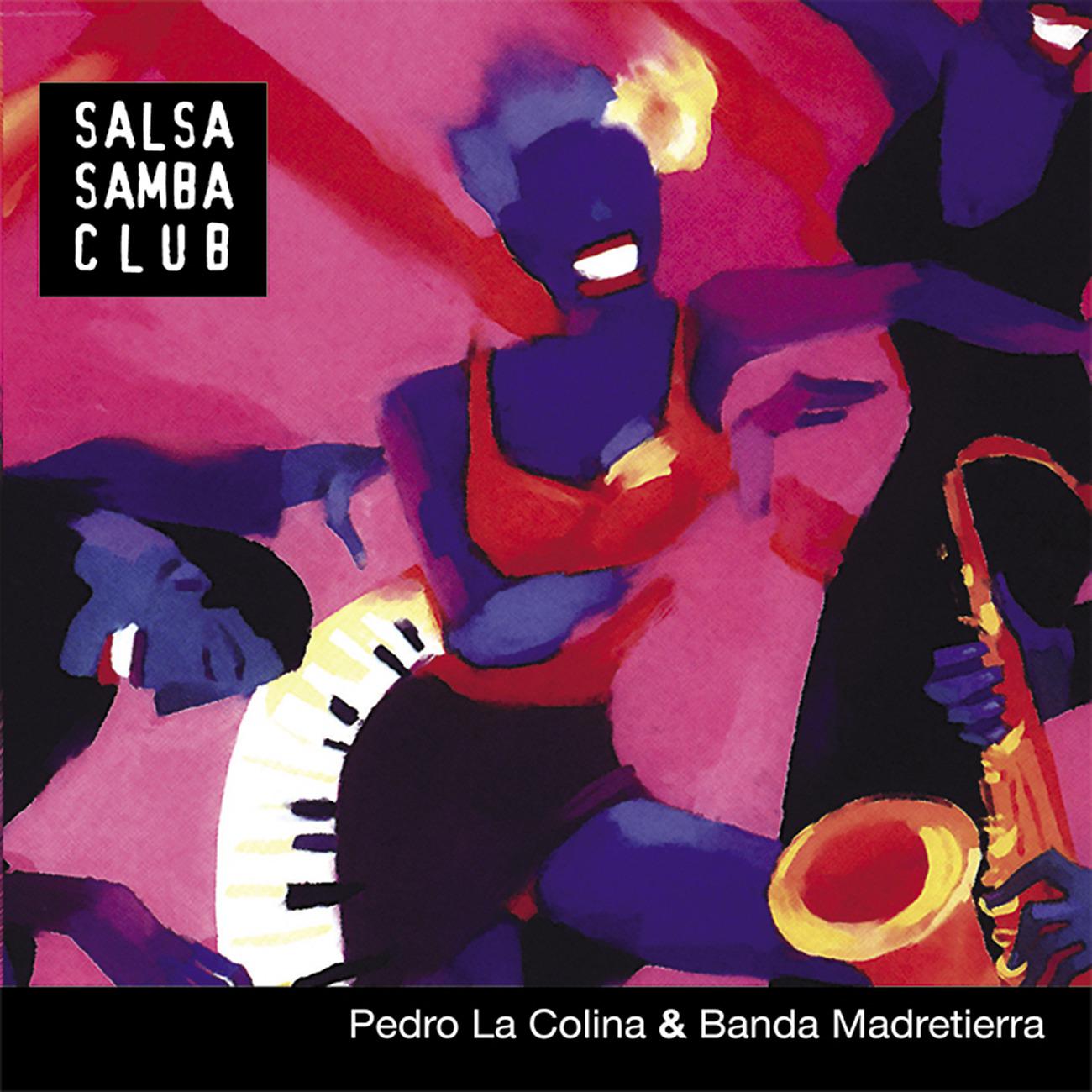 Постер альбома Salsa Samba Club