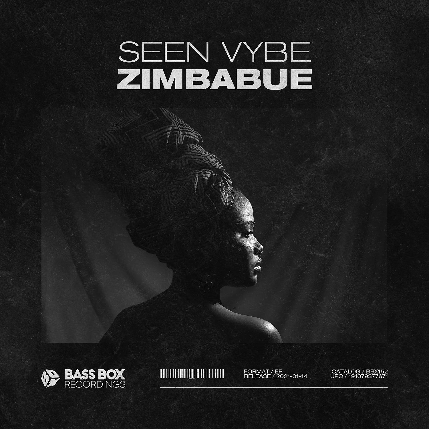 Постер альбома Zimbabue