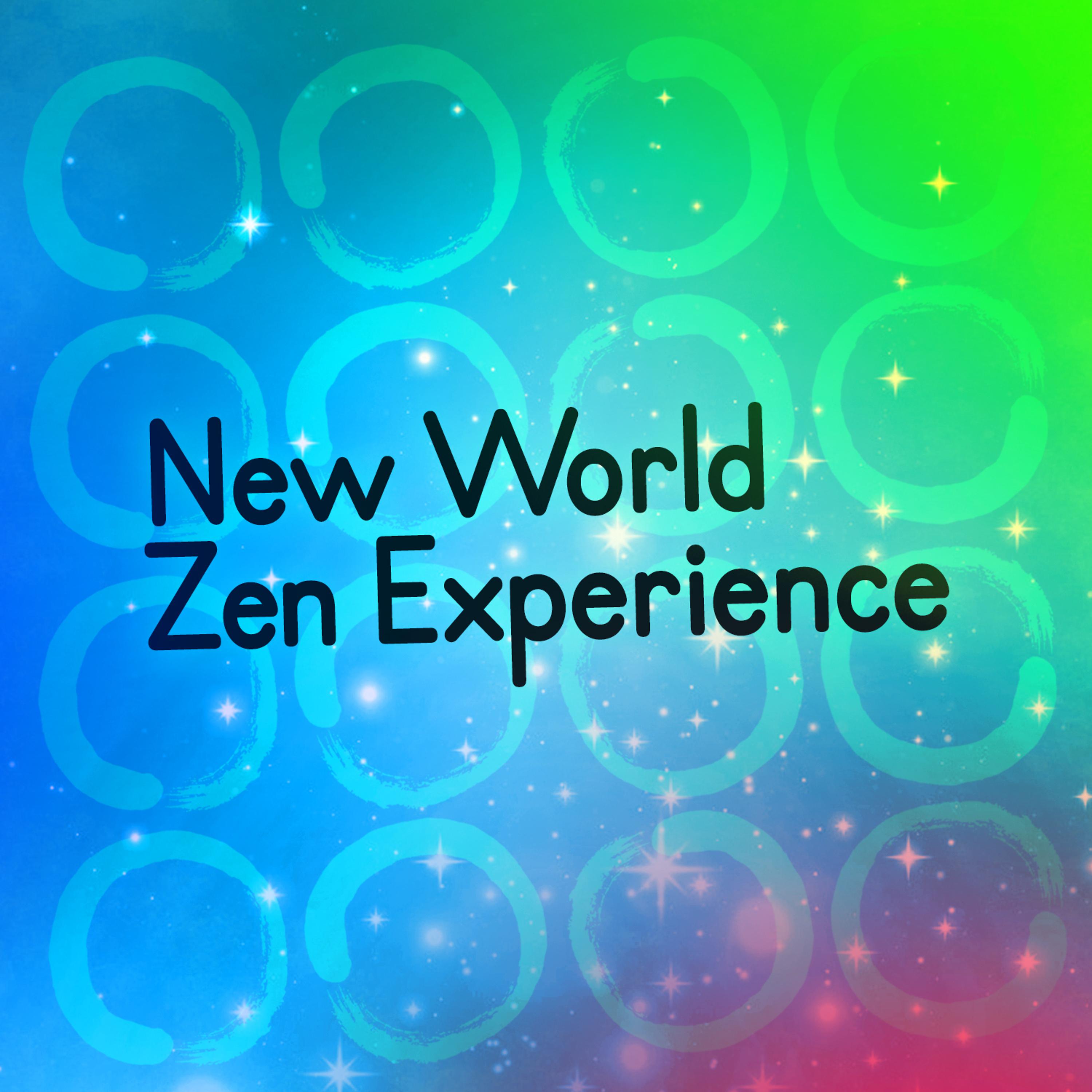 Постер альбома New World Zen Experience