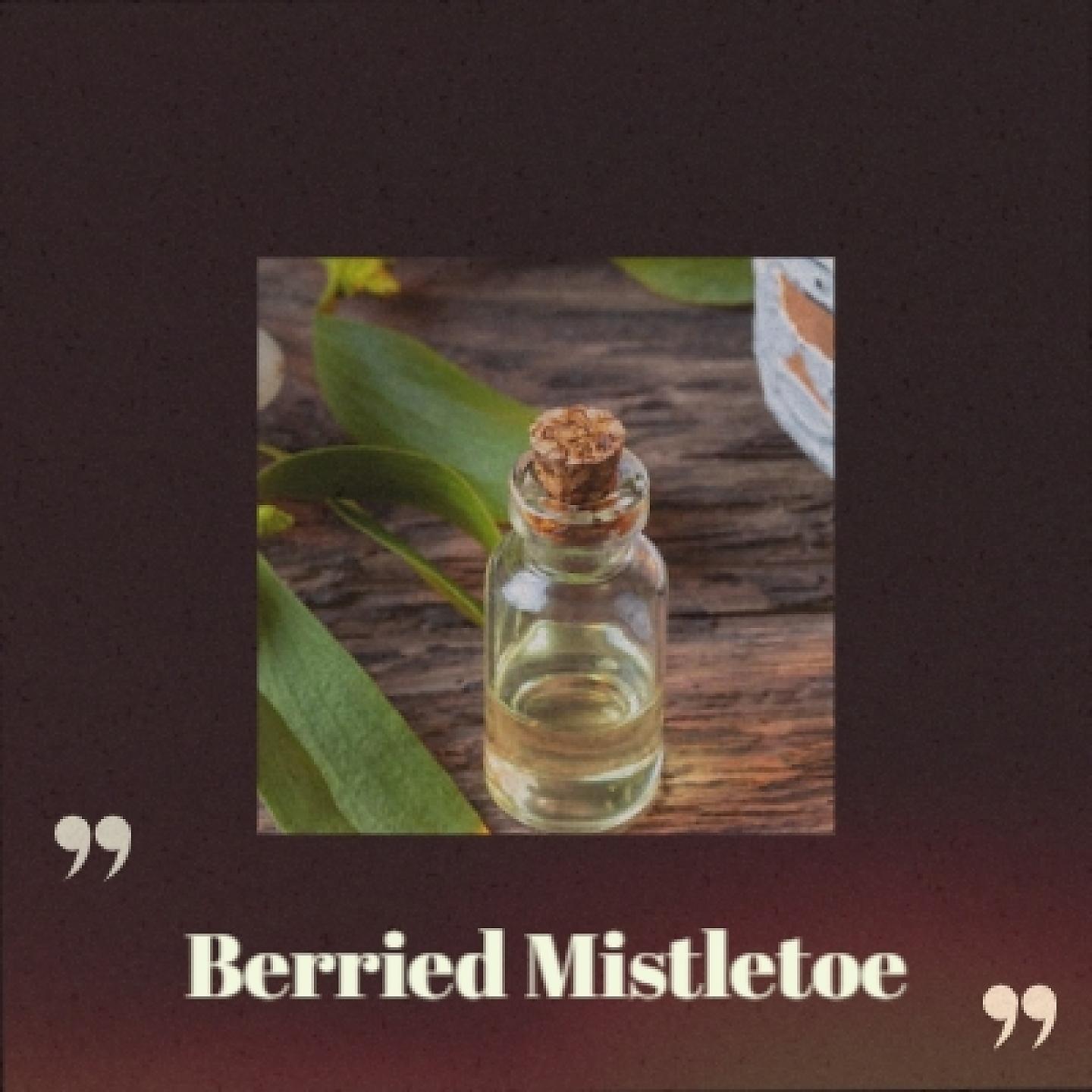 Постер альбома Berried Mistletoe