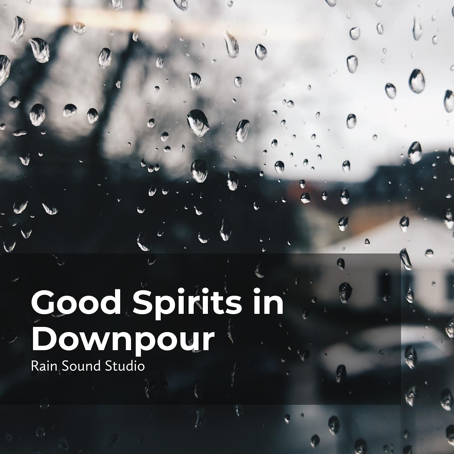 Постер альбома Good Spirits in Downpour