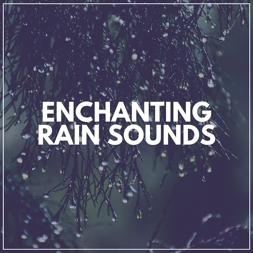Постер альбома Enchanting Rain Sounds