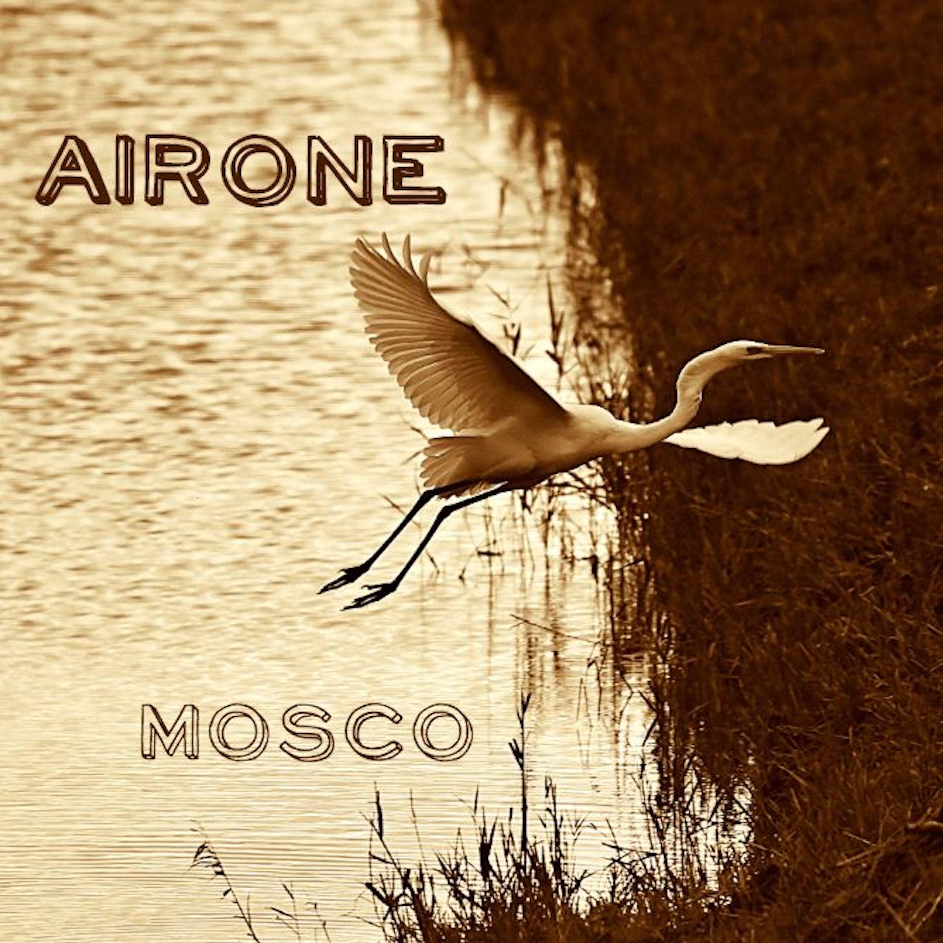 Постер альбома Airone