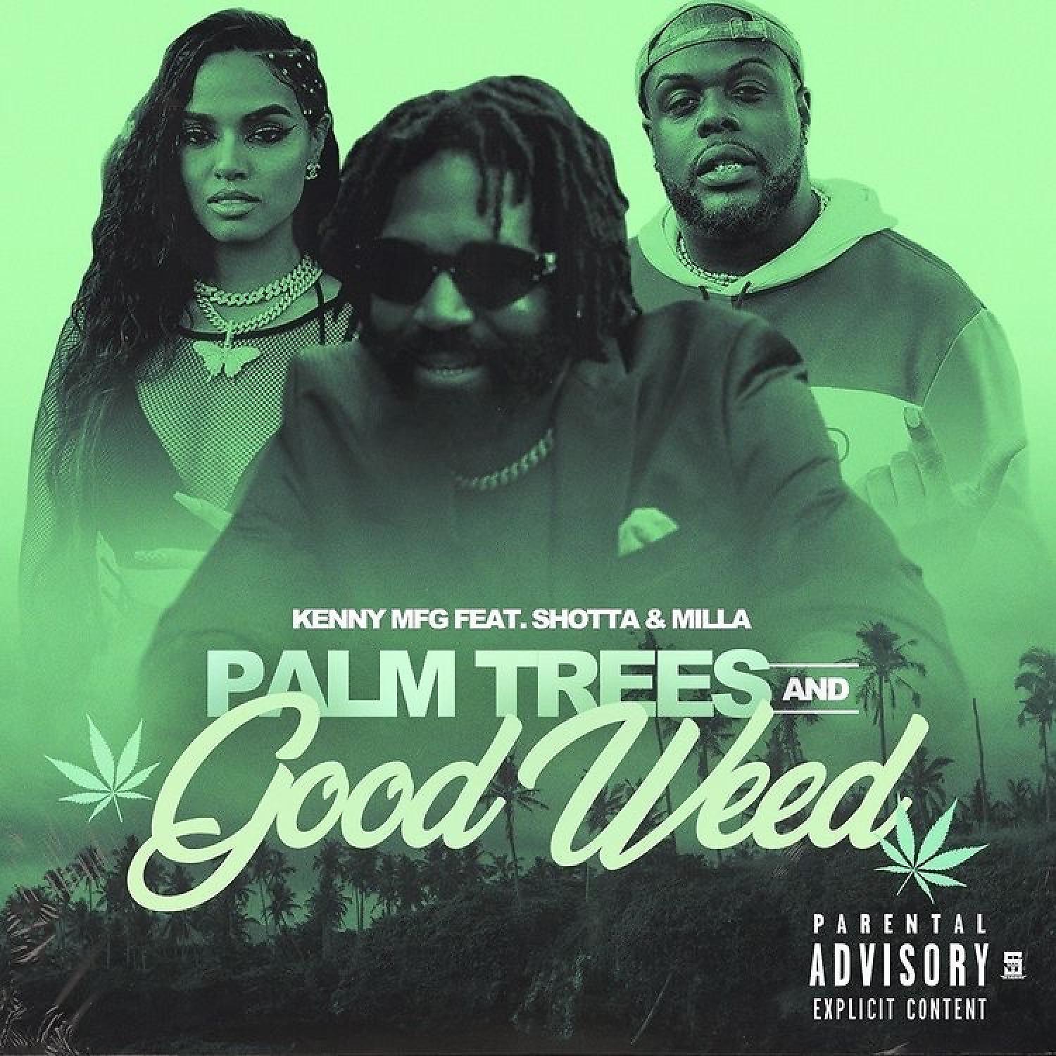 Постер альбома Palm Trees and Good Weed