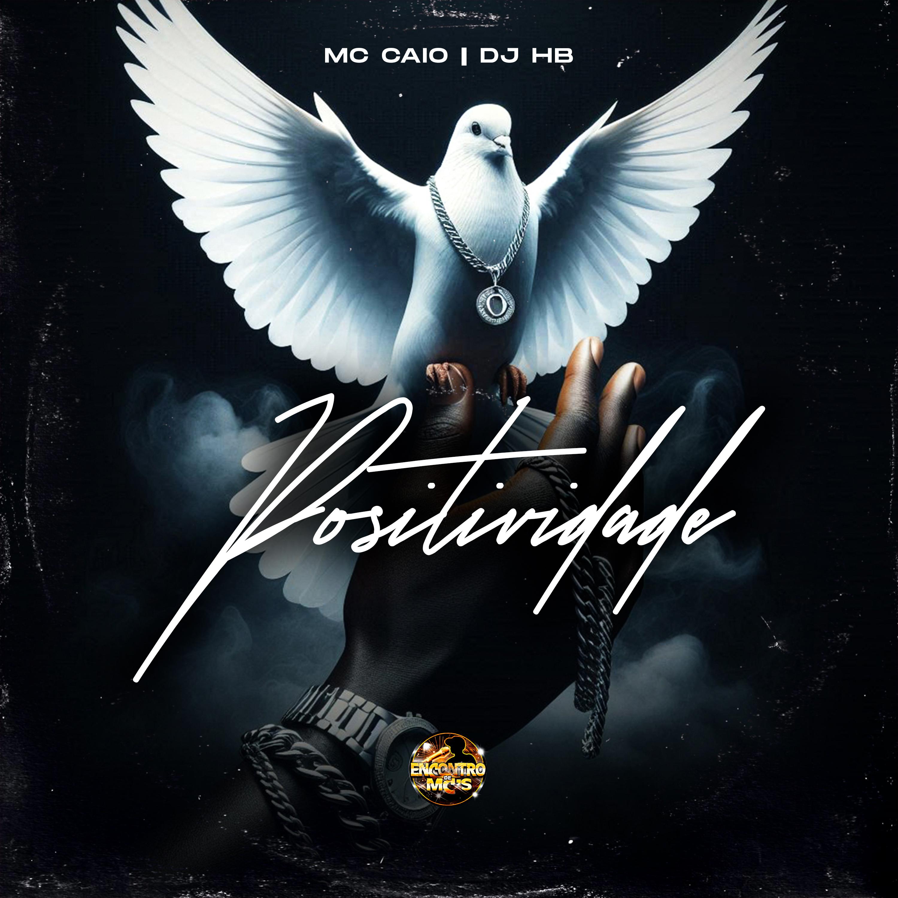 Постер альбома Positividade