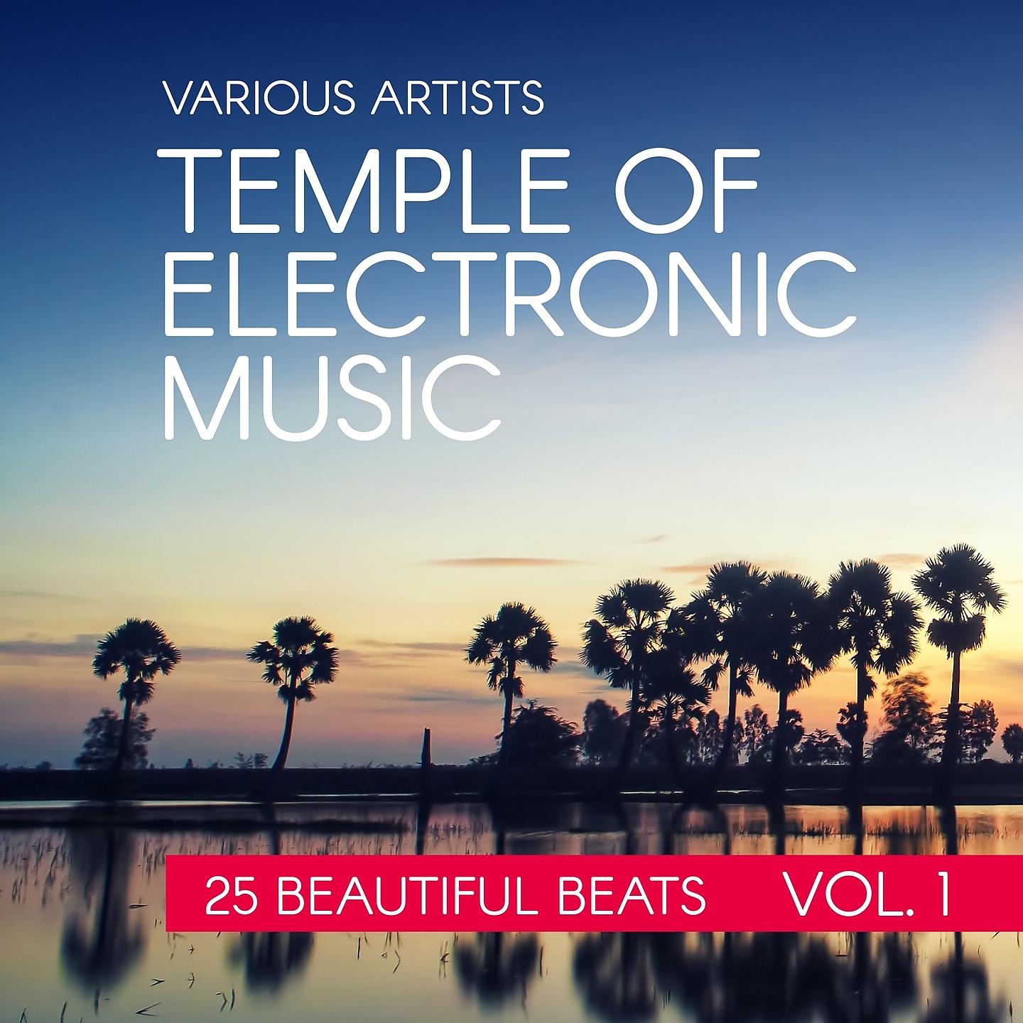 Постер альбома Temple Of Electronic Music (25 Beautiful Beats), Vol. 1