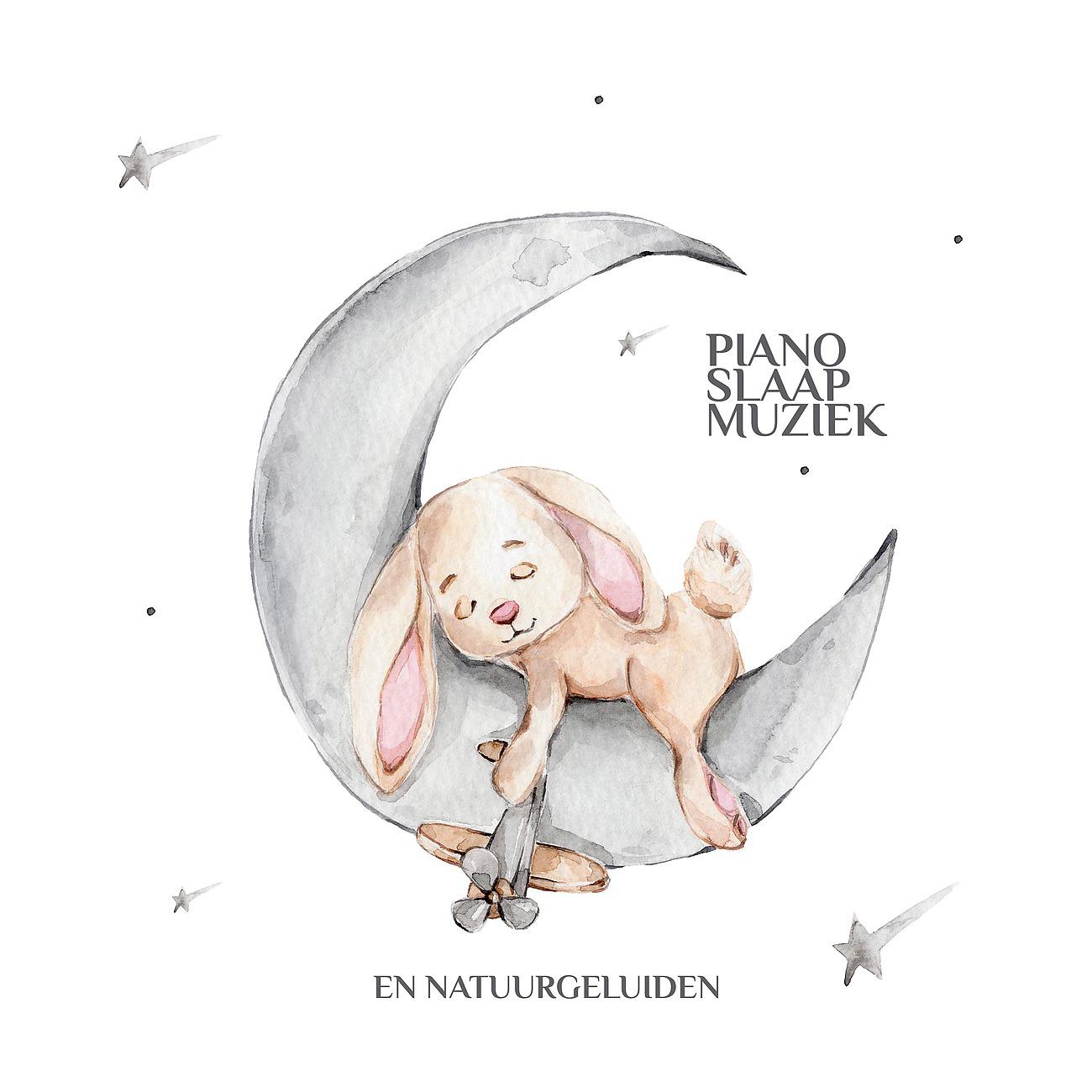 Постер альбома Piano Slaap Muziek en Natuurgeluiden