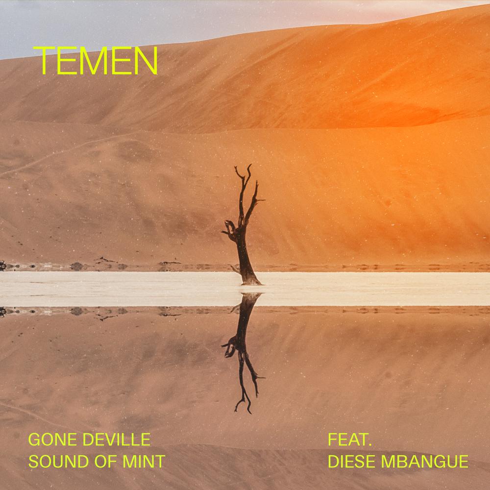 Постер альбома Temen