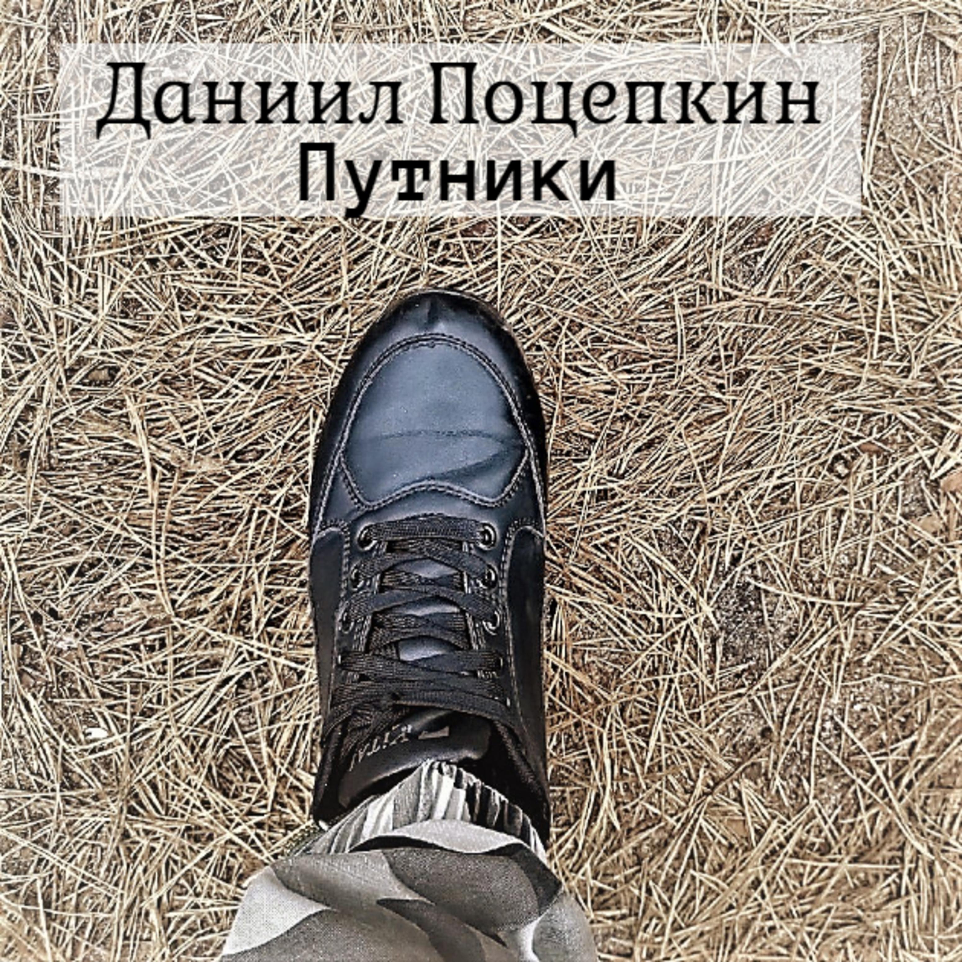 Постер альбома Путники