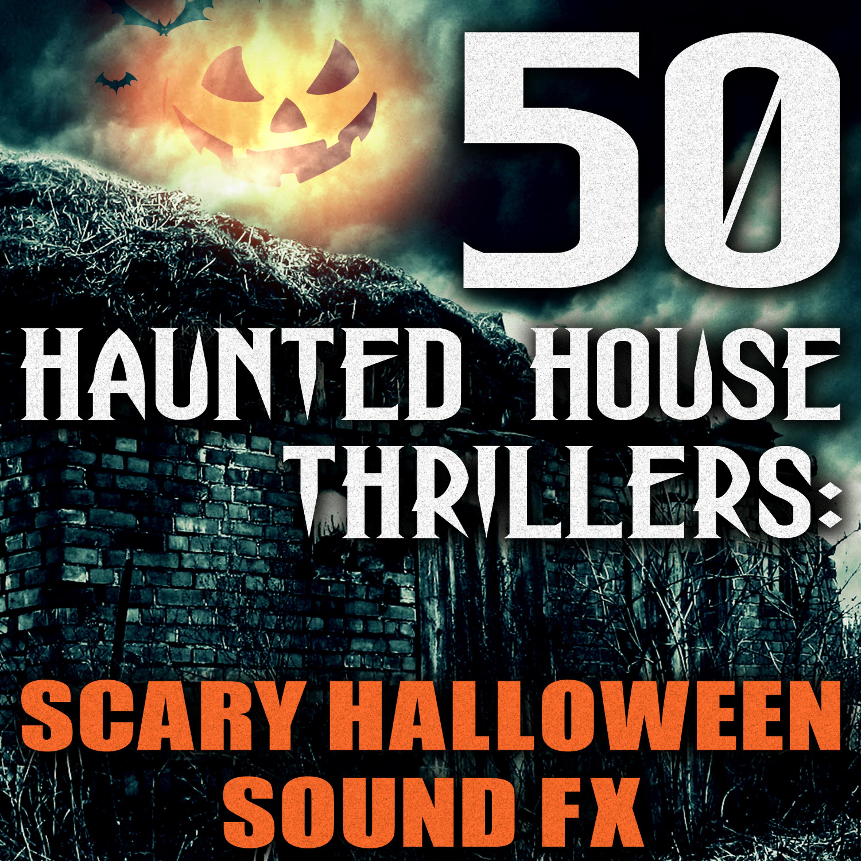 Постер альбома 50 Haunted House Thrillers: Scary Halloween Sound FX