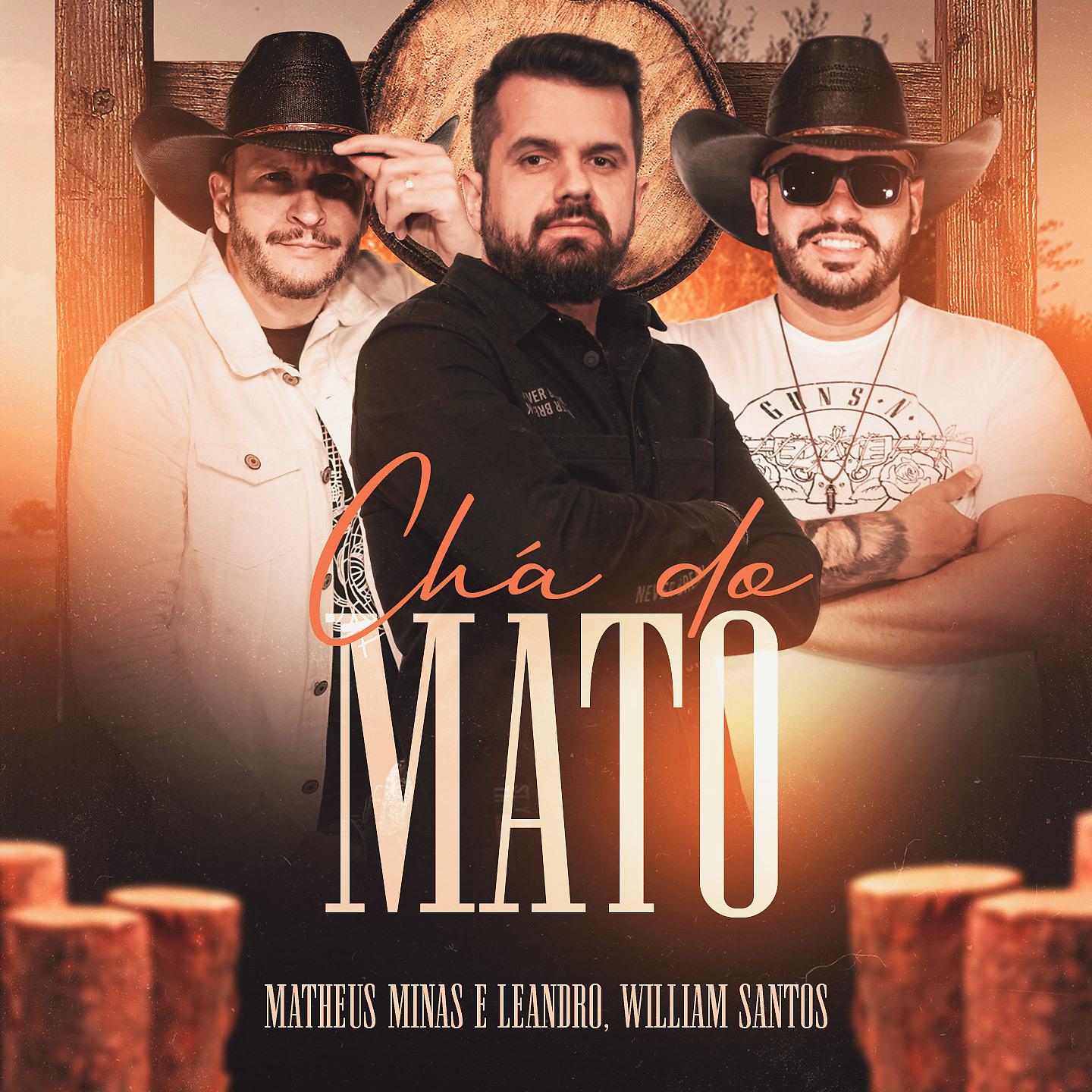 Постер альбома Chá do Mato