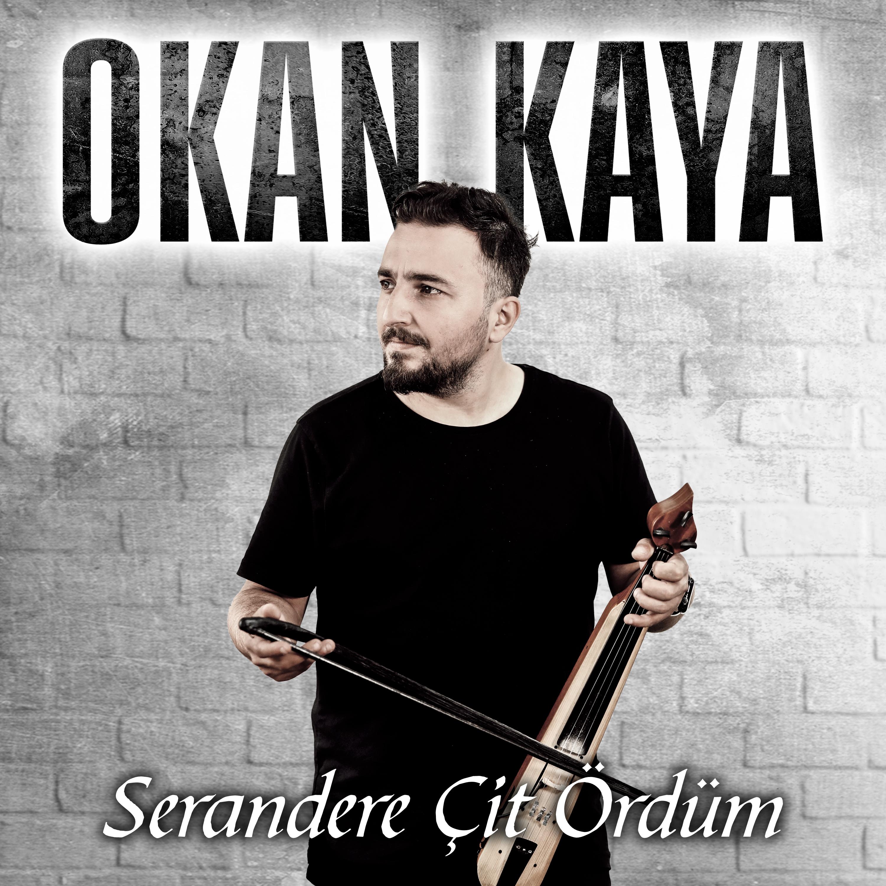 Постер альбома Serandere Çit Ördüm