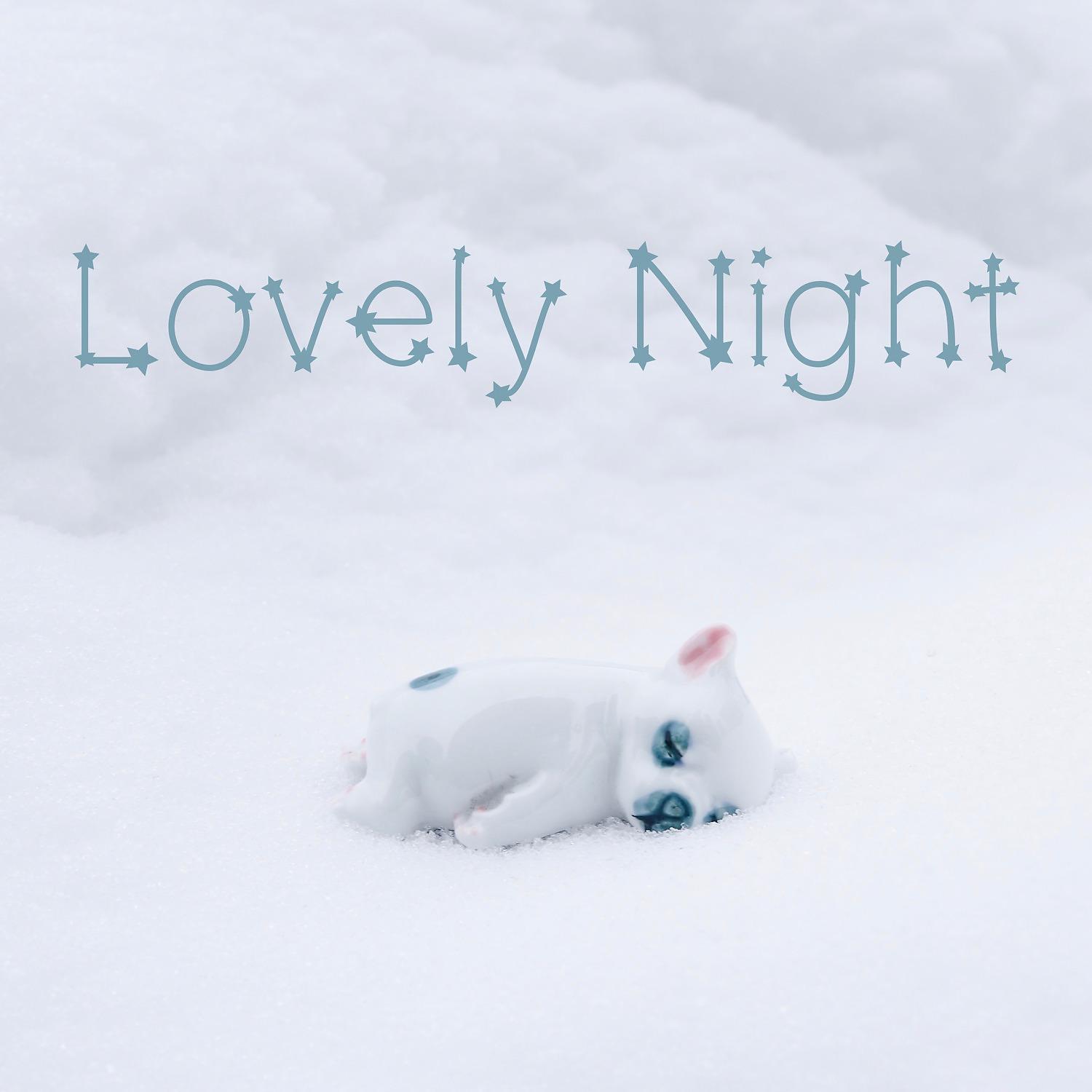 Постер альбома Lovely Night