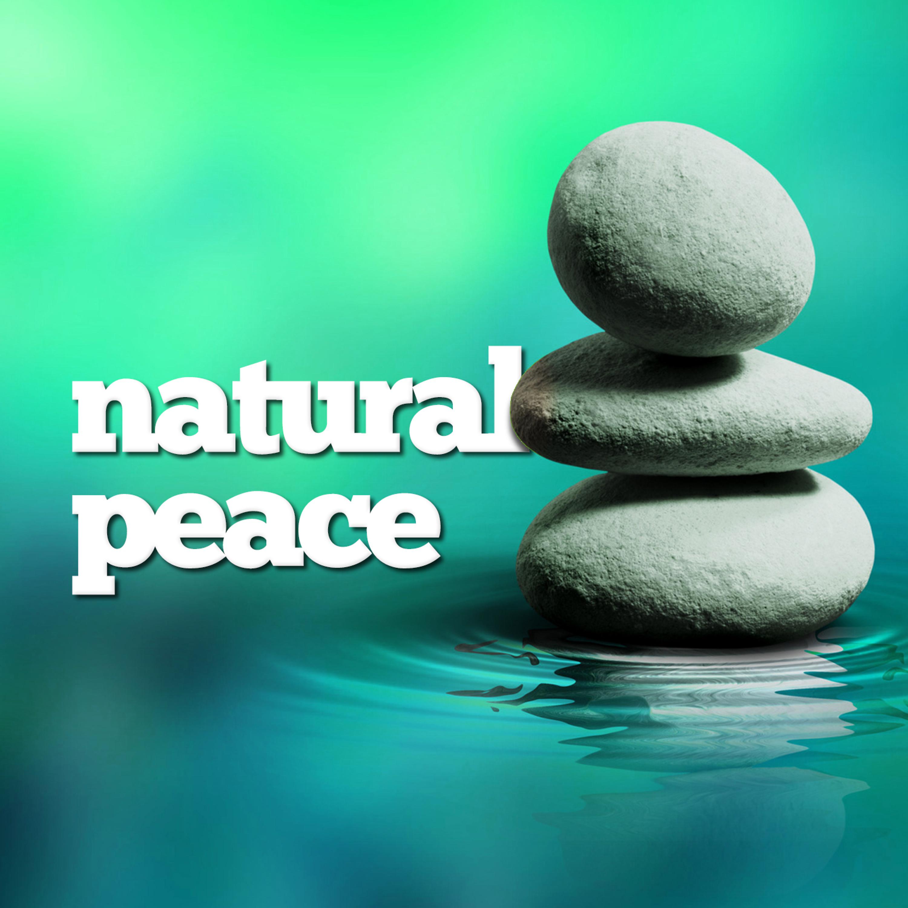 Постер альбома Natural Peace