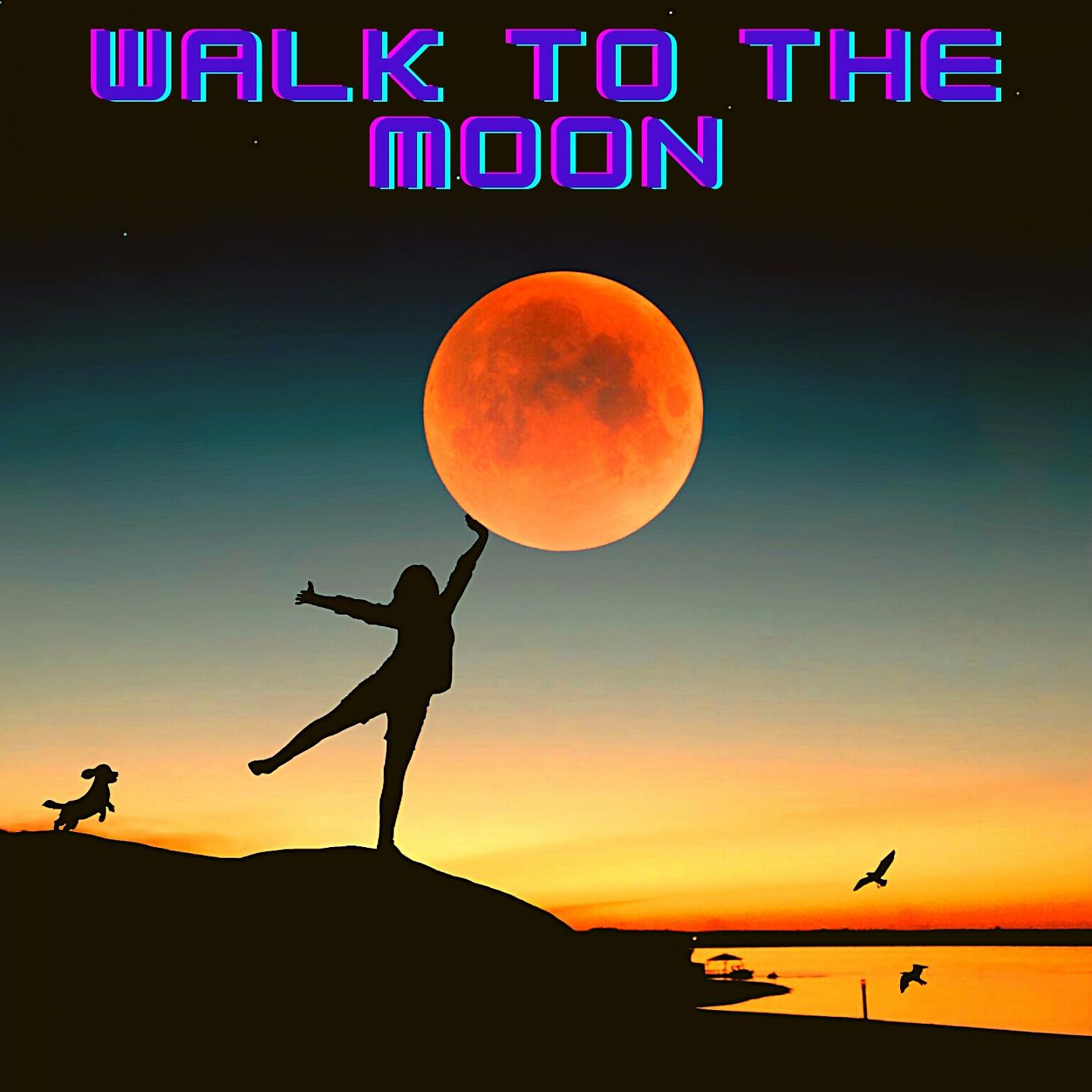 Постер альбома Walk to the Moon