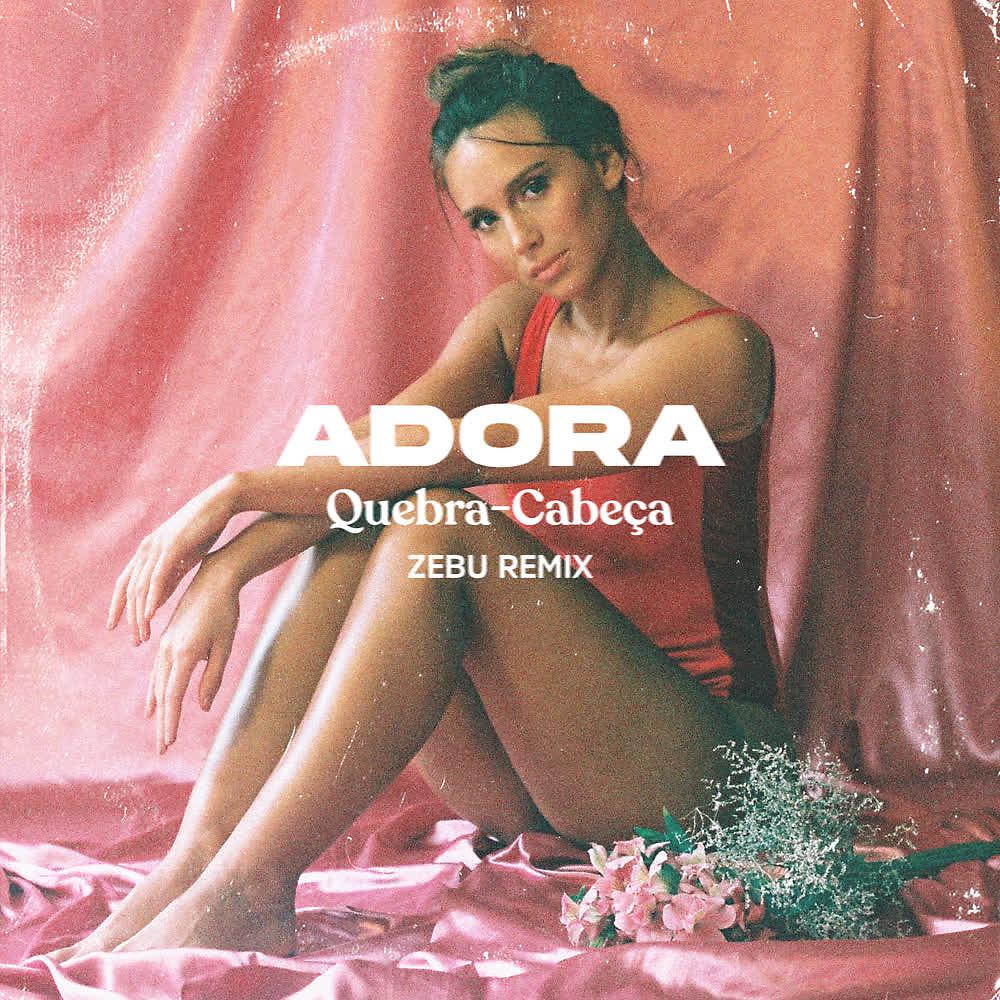 Постер альбома Quebra-Cabeça (Zebu Remix)