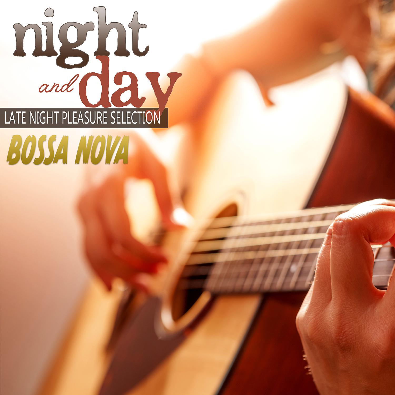 Постер альбома Night and Day: Bossa Nova Late Night Pleasure Selection