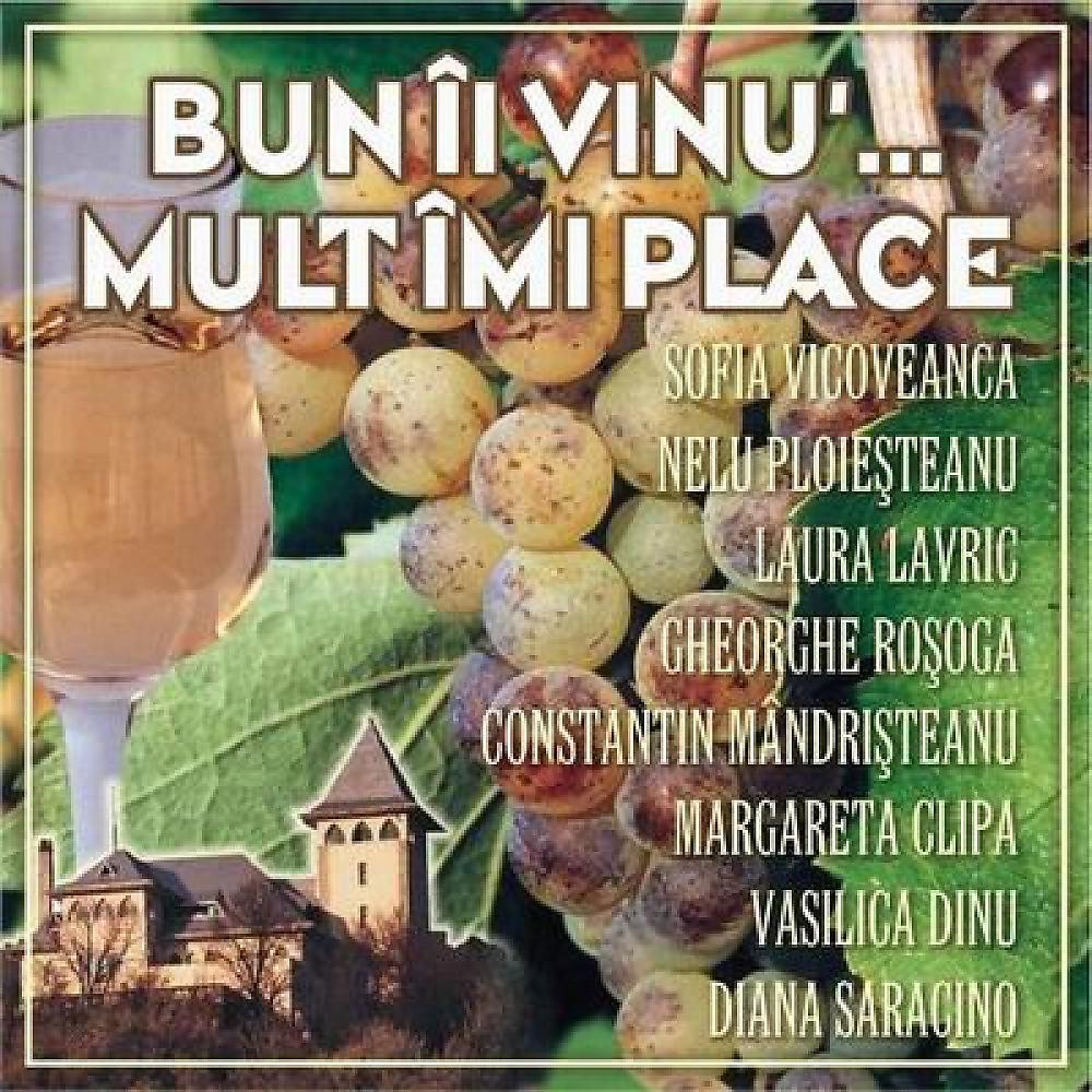Постер альбома Bun II Vinu'… Mult Imi Place