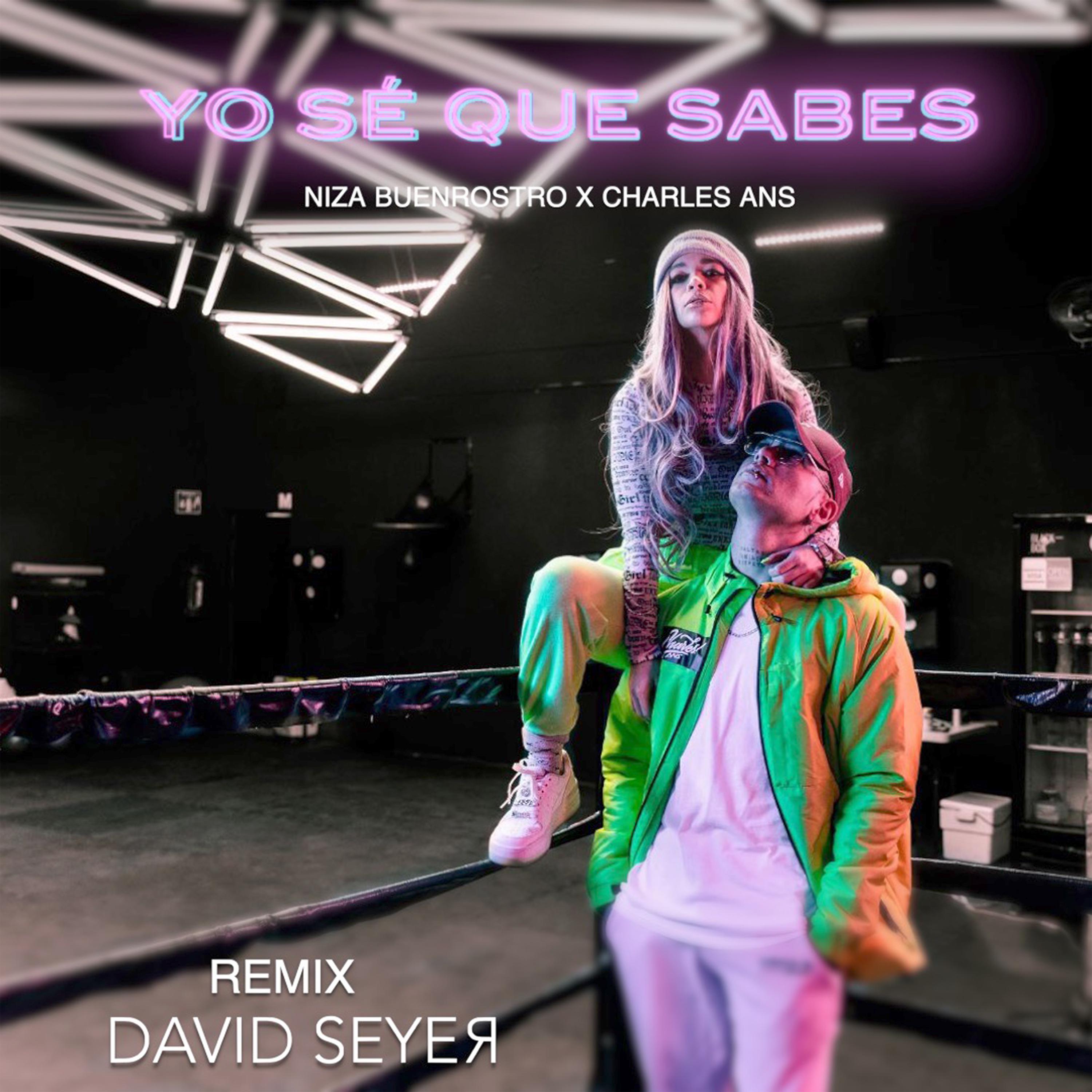 Постер альбома Yo Sé Que Sabes (Remix)