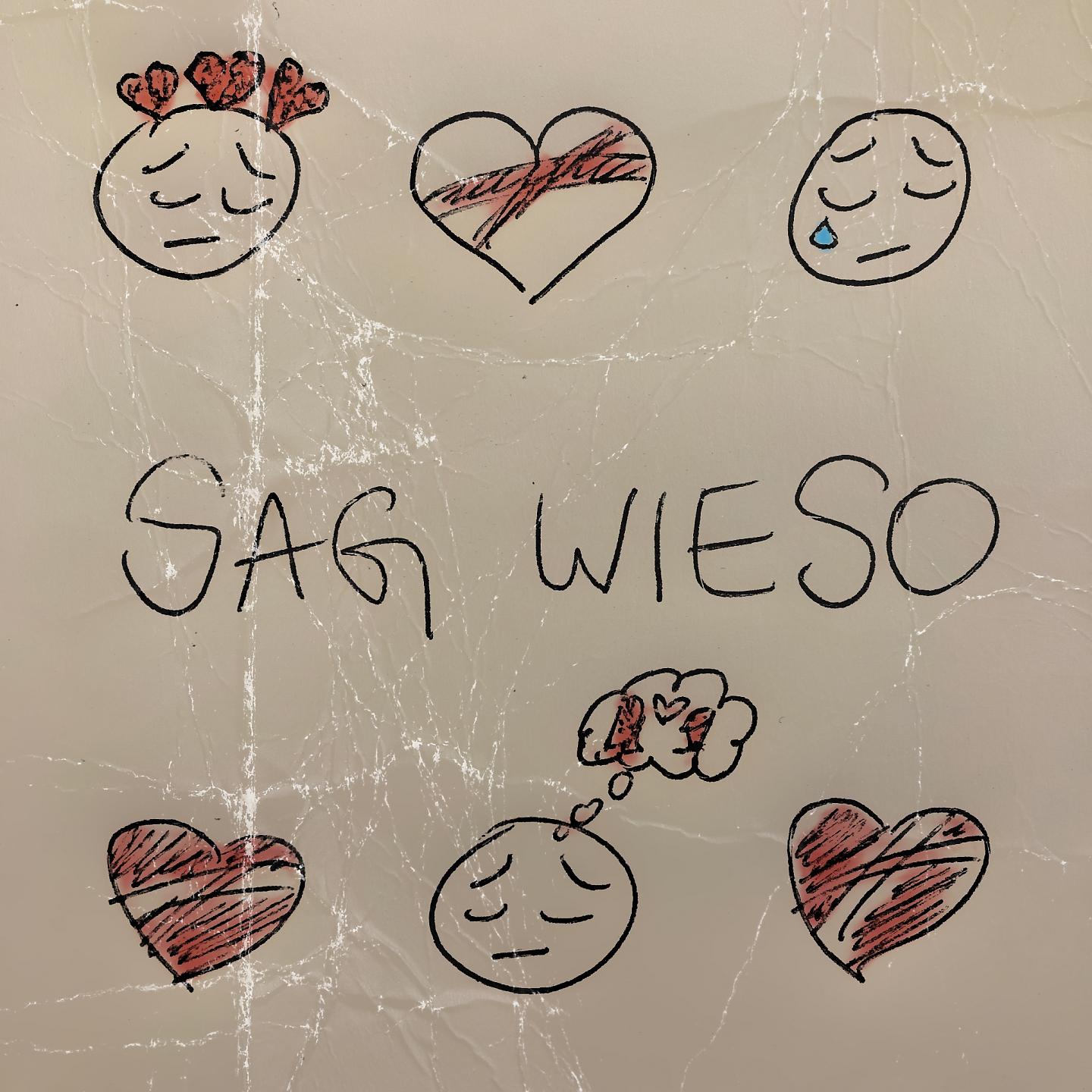 Постер альбома Sag Wieso