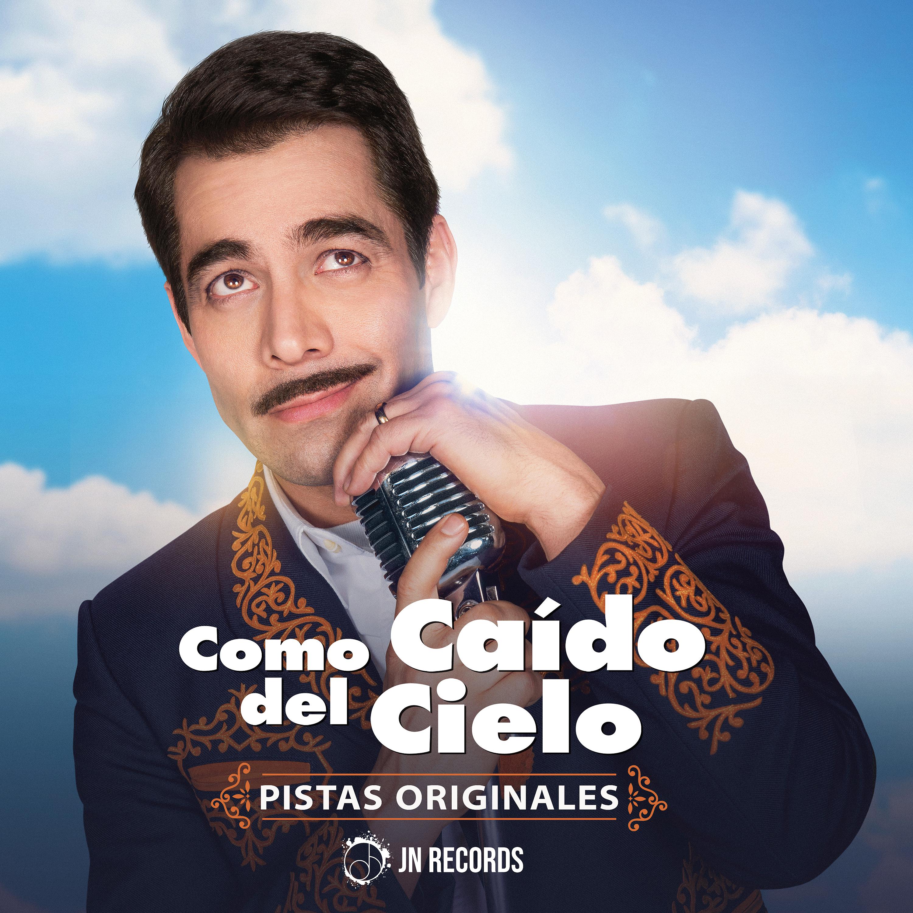 Постер альбома Como Caido del Cielo (Pistas Originales)