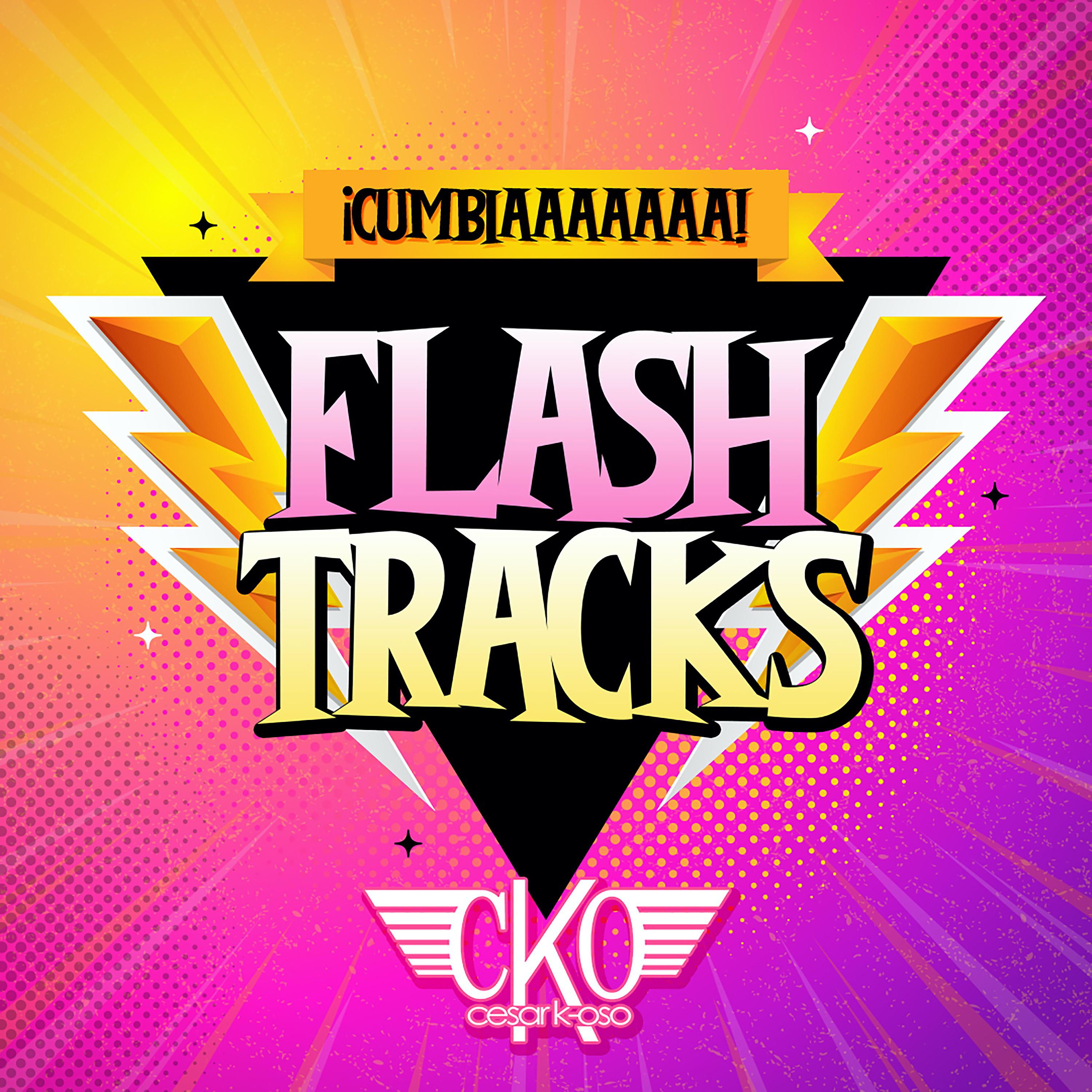 Постер альбома Flash Tracks