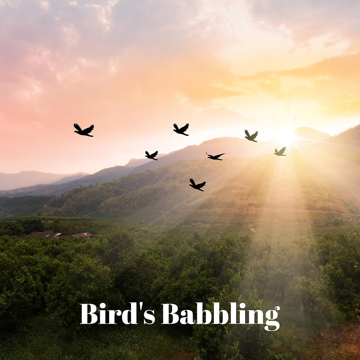 Постер альбома Bird's Babbling: Nature Sounds, Birdsong Therapy, Stress Relief, Relaxation & Balance Time