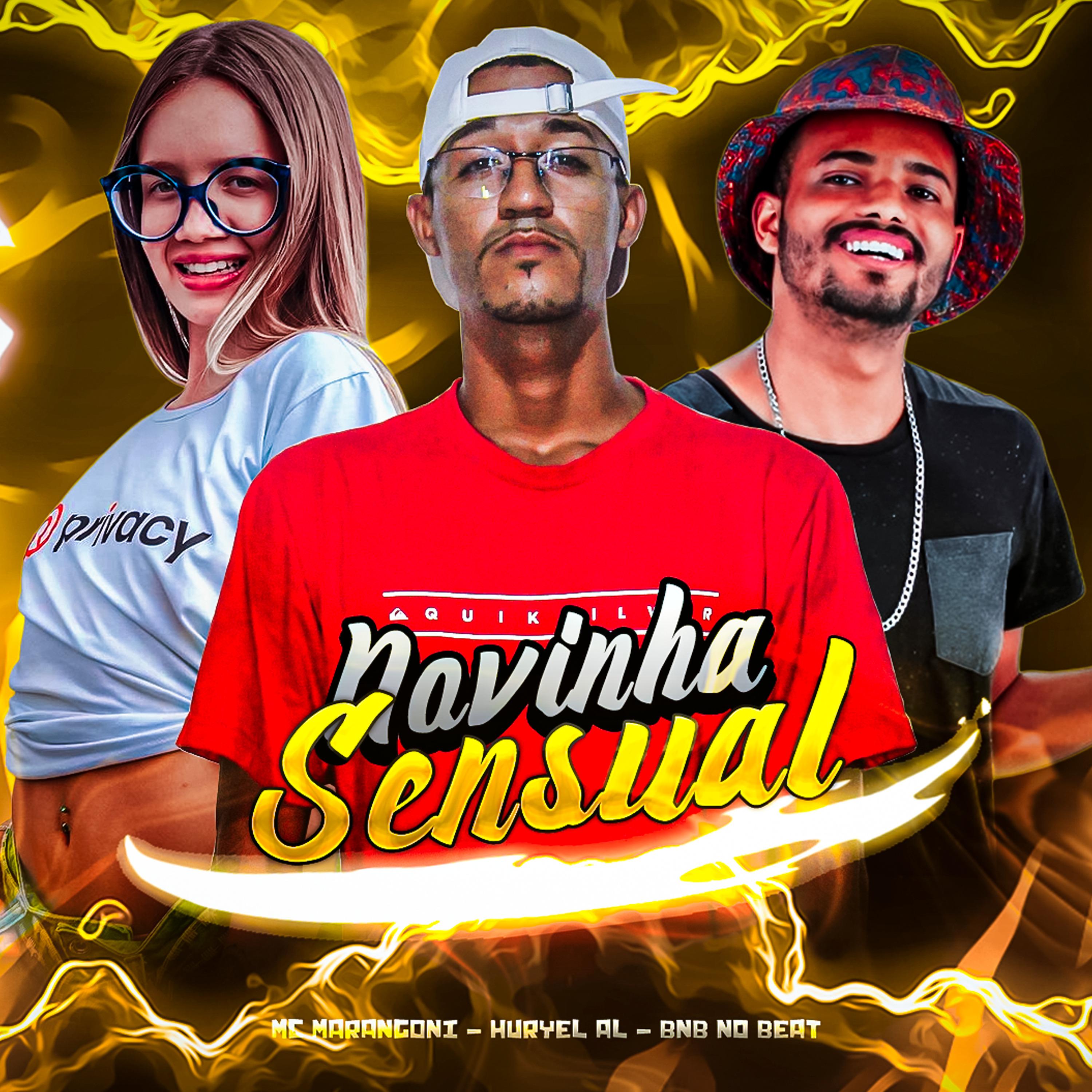 Постер альбома Novinha Sensual