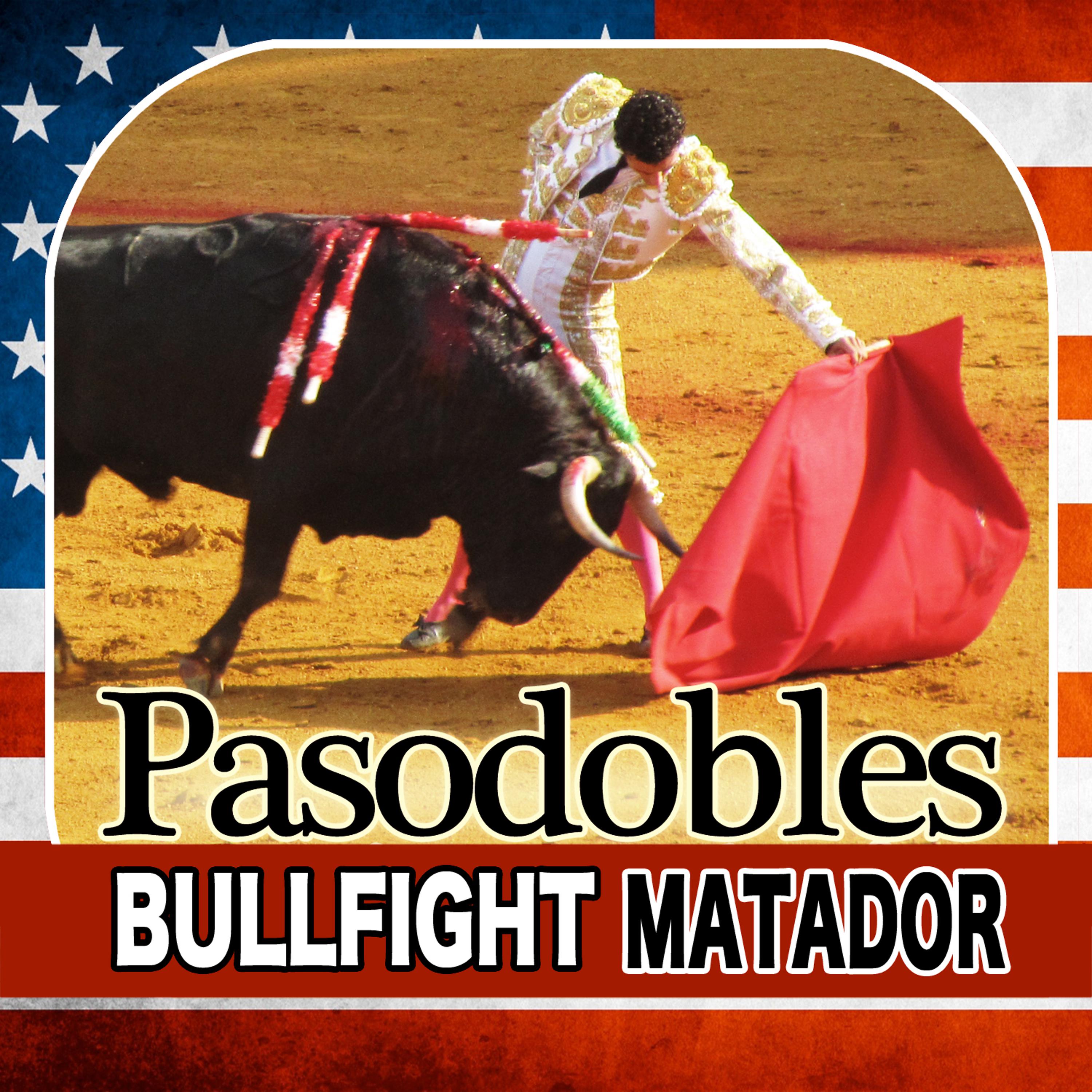 Постер альбома Pasodobles Bullfight  Matador