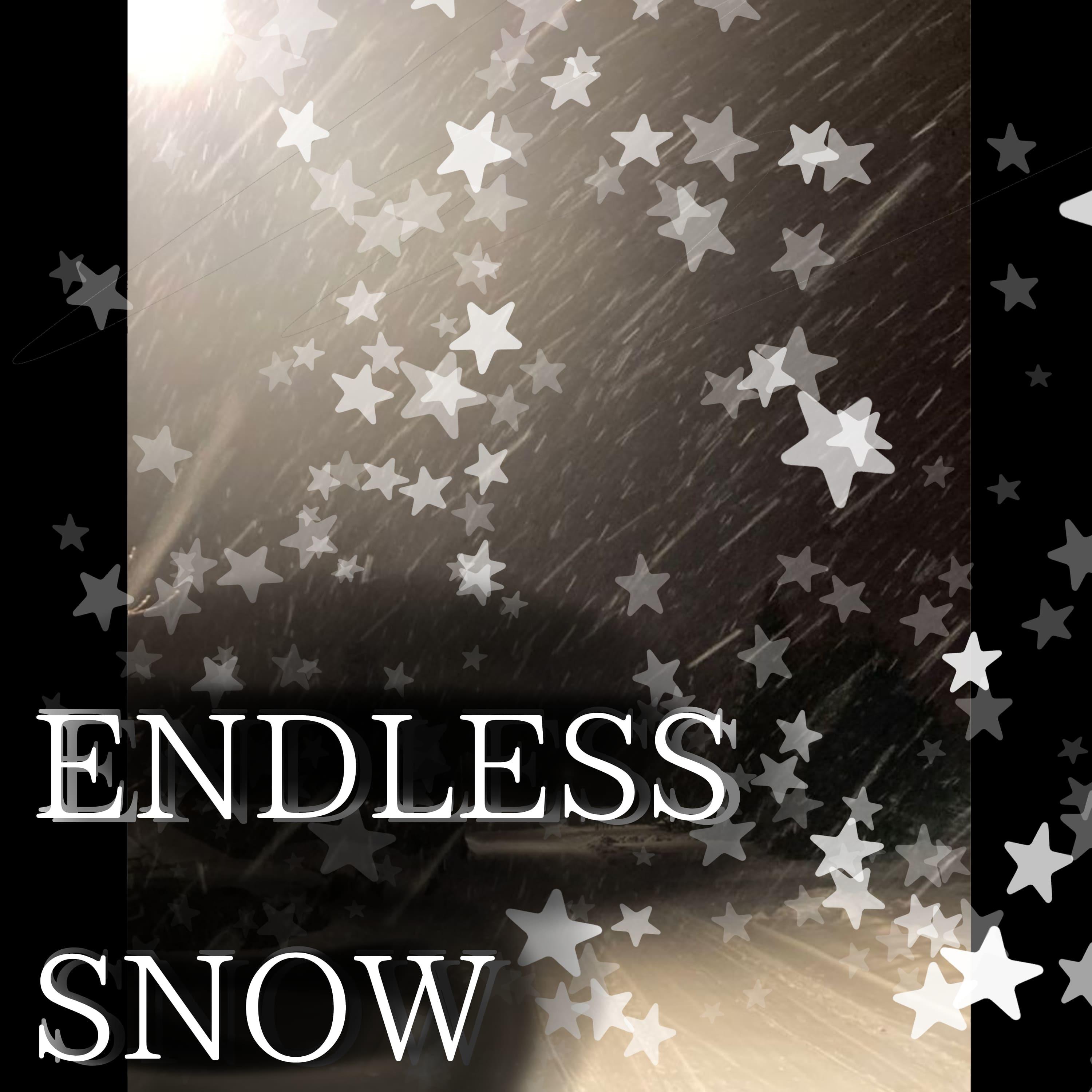 Постер альбома Endless Snow