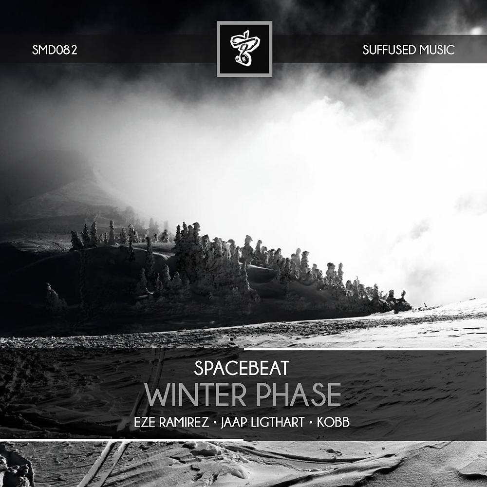 Постер альбома Winter Phase